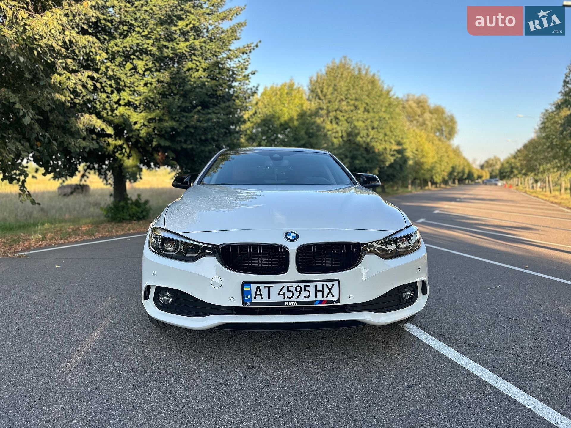 BMW 4 Series Gran Coupe 2020 VIN WBA4K51030CE13021 фото оголошення 30 з 38
