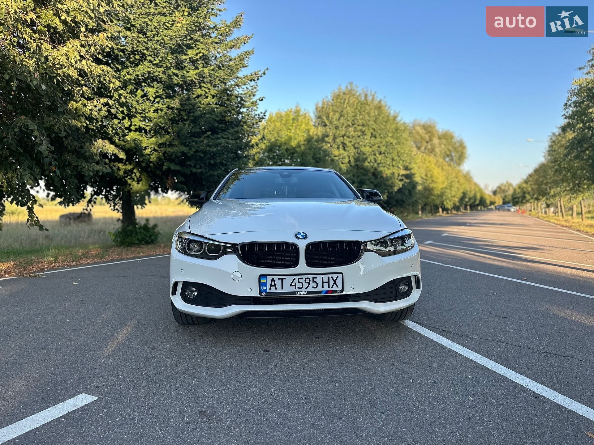 BMW 4 Series Gran Coupe 2020 VIN WBA4K51030CE13021 фото оголошення 29 з 38