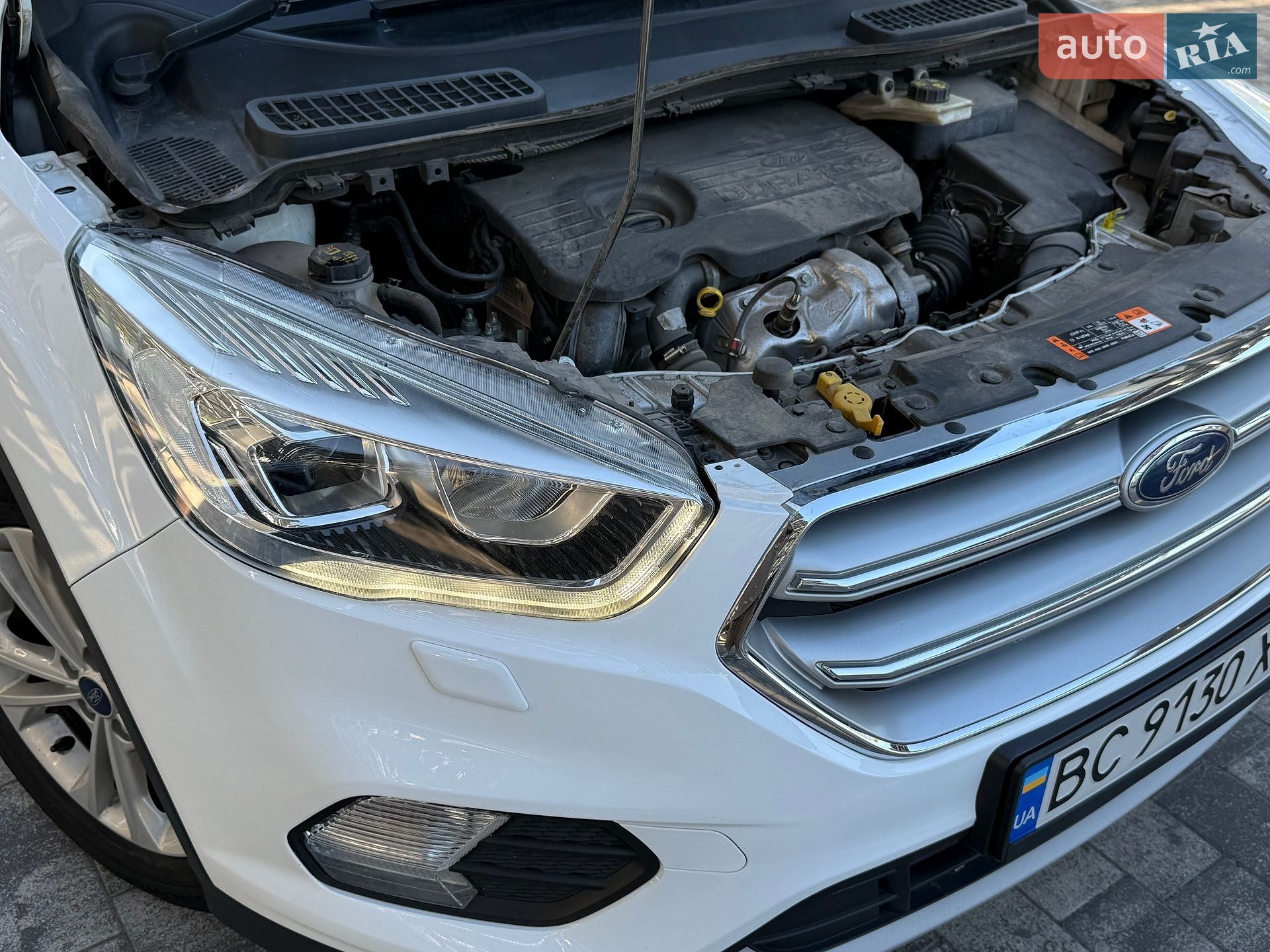 Ford Kuga 2019 VIN WF0AXXWPMAKJ60115 фото оголошення 8 з 80