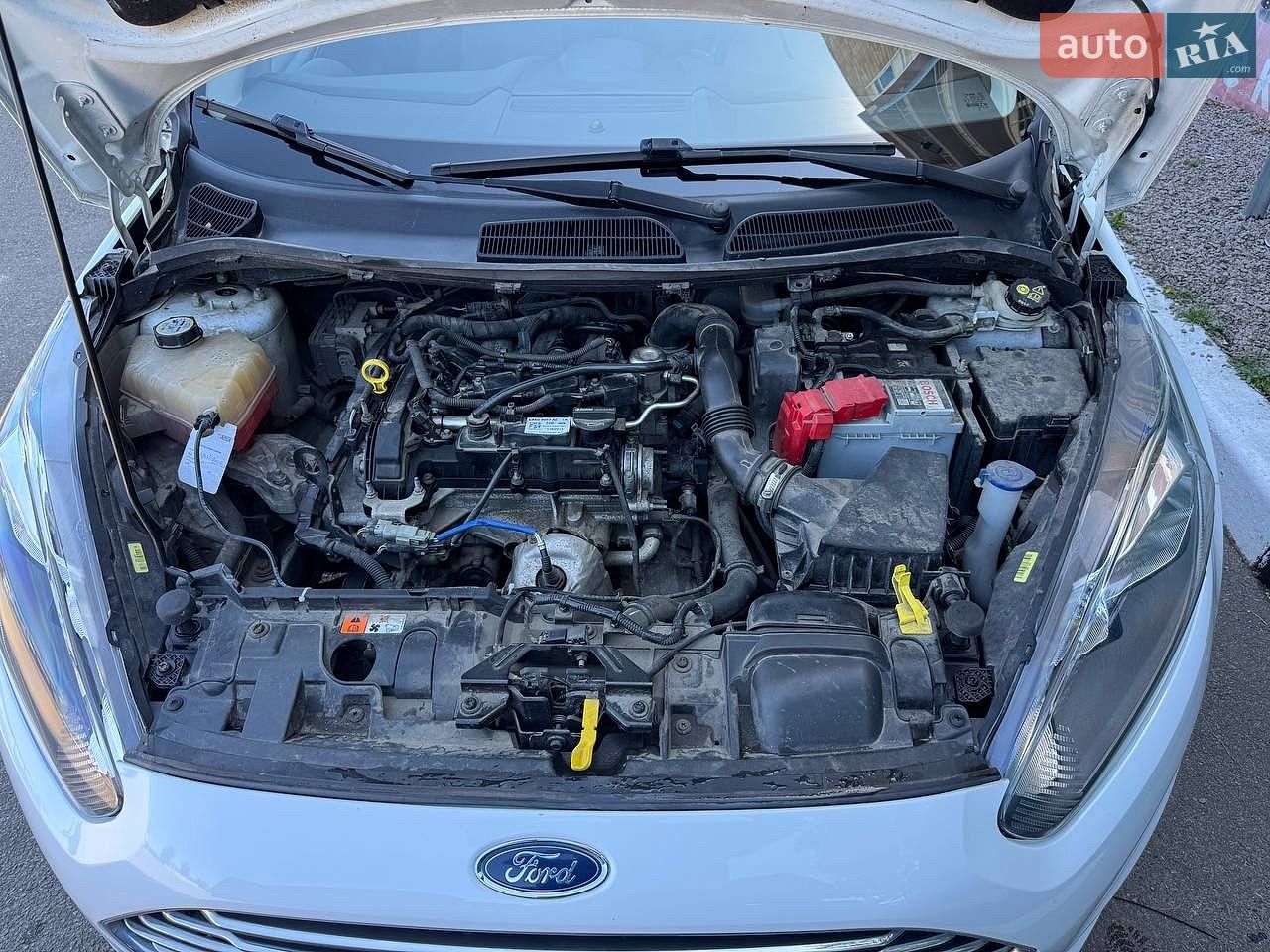 Ford Fiesta 2013 VIN WF0DXXGAKDDD50704 фото оголошення 30 з 41