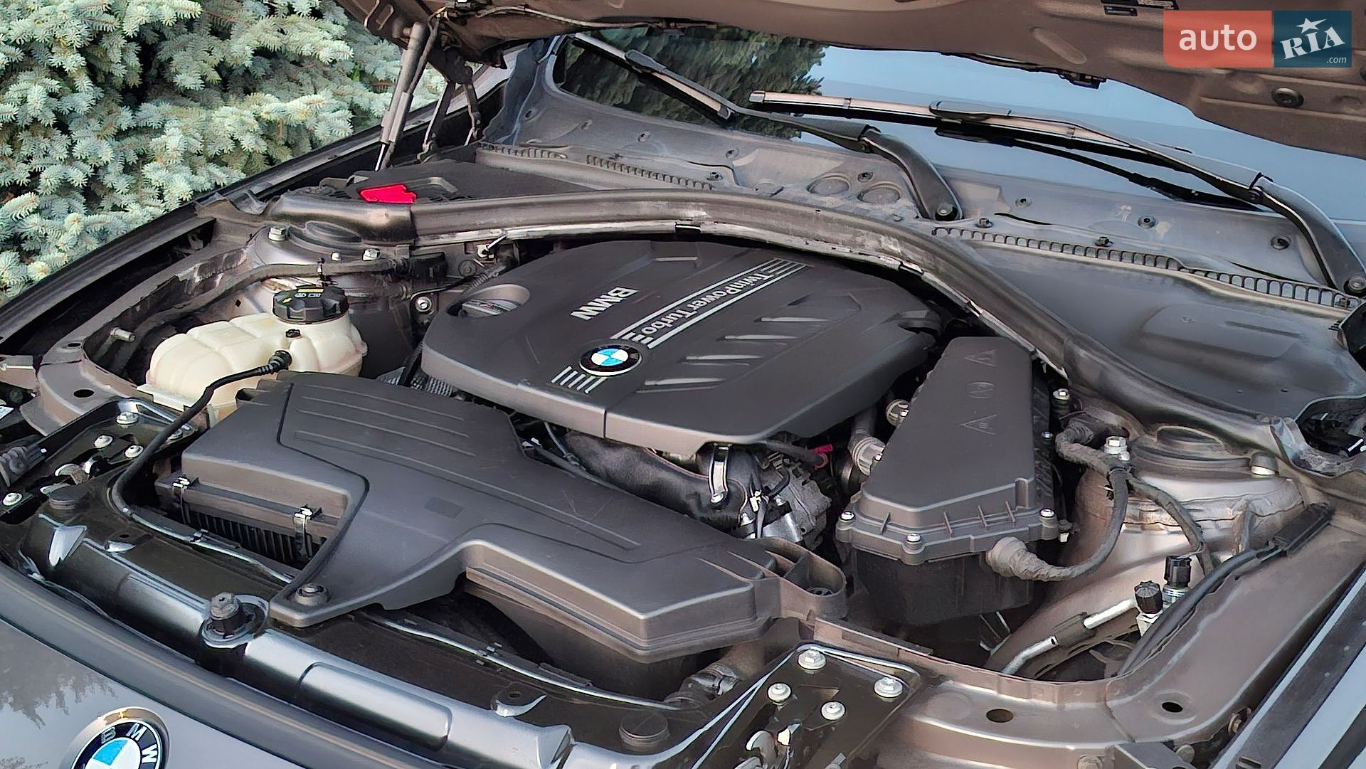 BMW 3 Series 2014 VIN WBA3D3109FK276799 фото оголошення 109 з 147