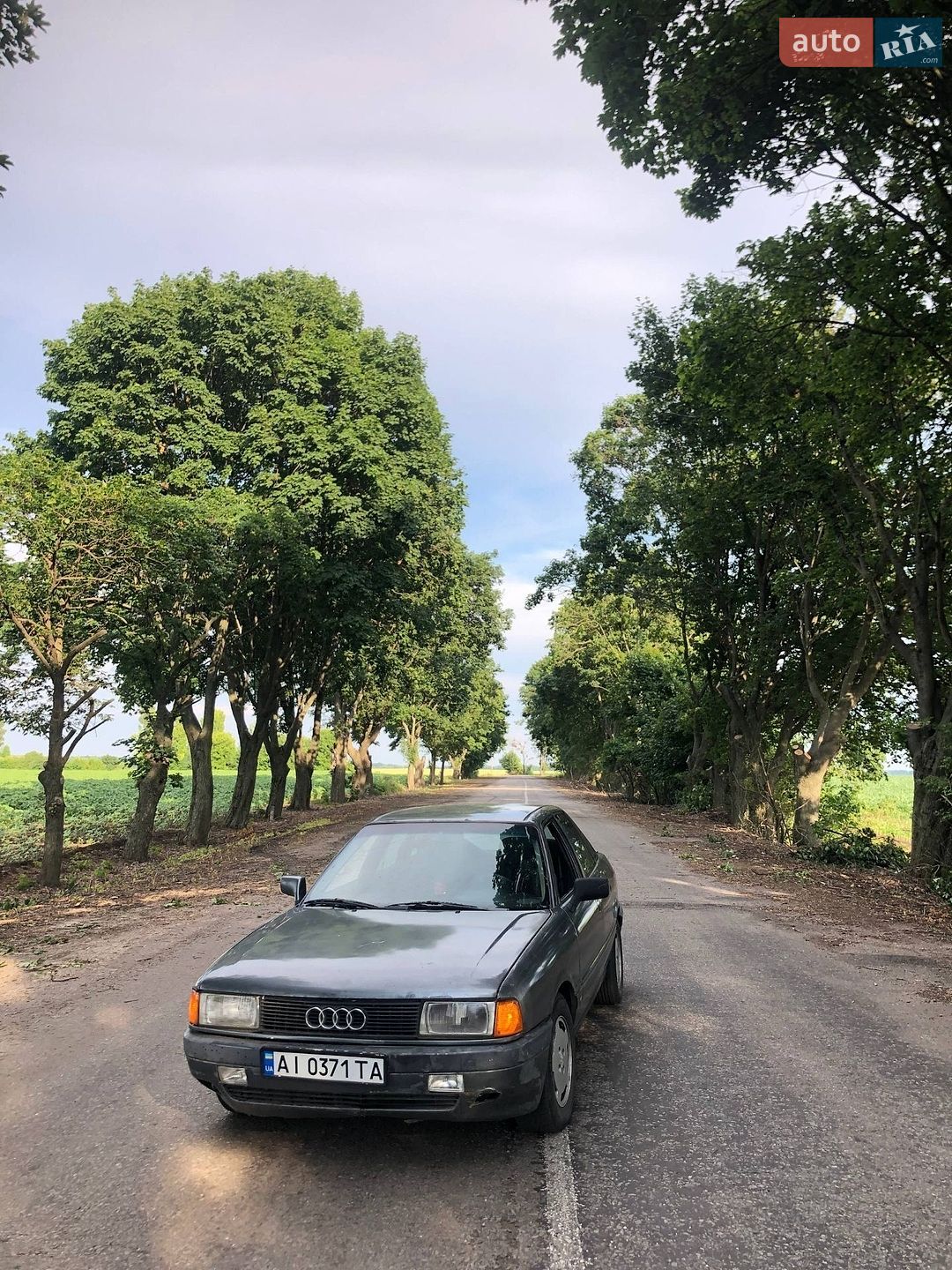Audi 80 1988 VIN WAUZZZ89ZJA396454 фото оголошення 4 з 4