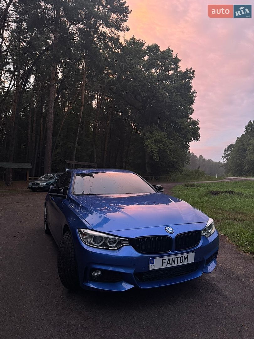BMW 4 Series Gran Coupe 2015 VIN WBA4C9C50GG138009 фото оголошення 21 з 22