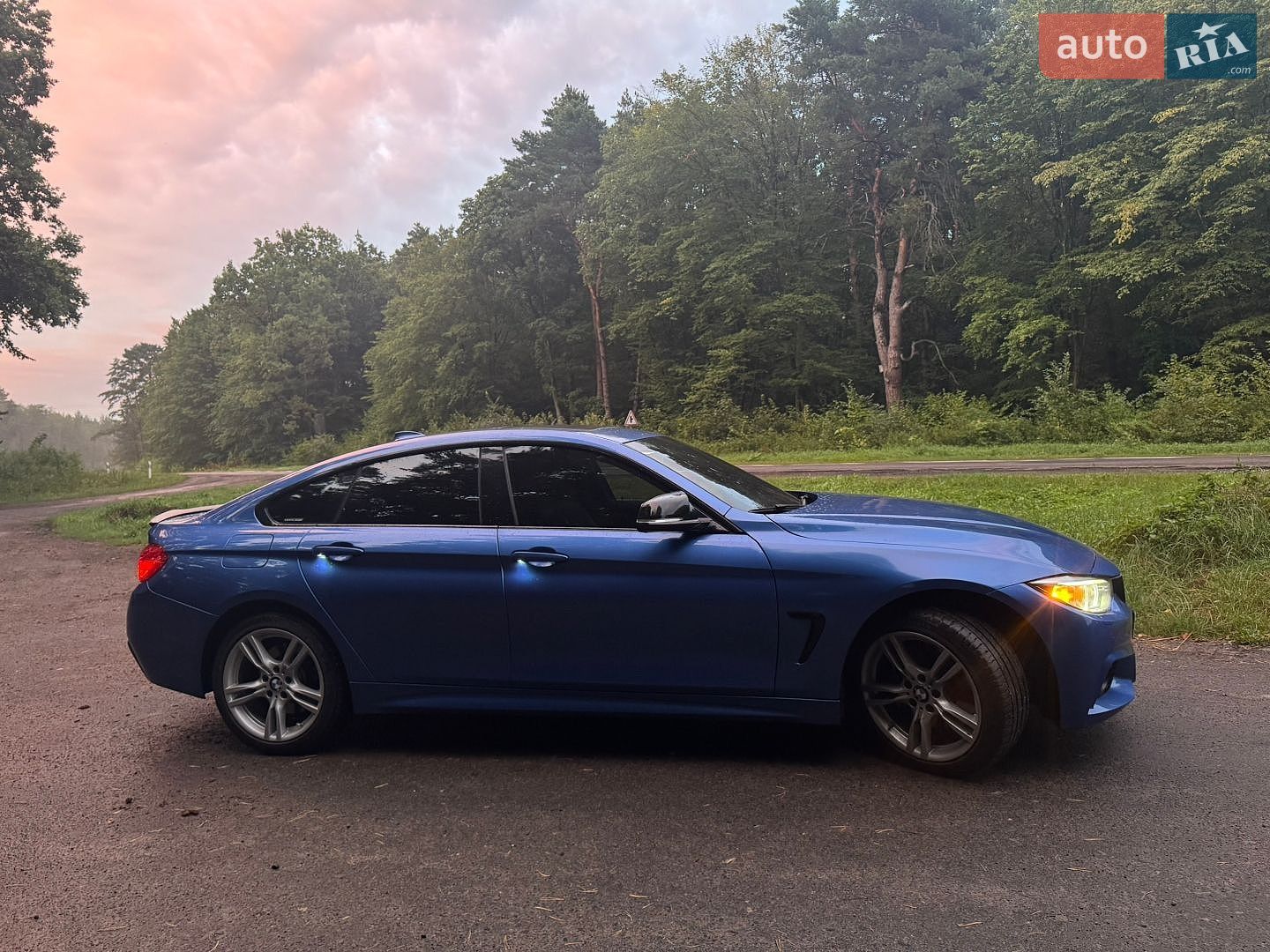 BMW 4 Series Gran Coupe 2015 VIN WBA4C9C50GG138009 фото оголошення 22 з 22