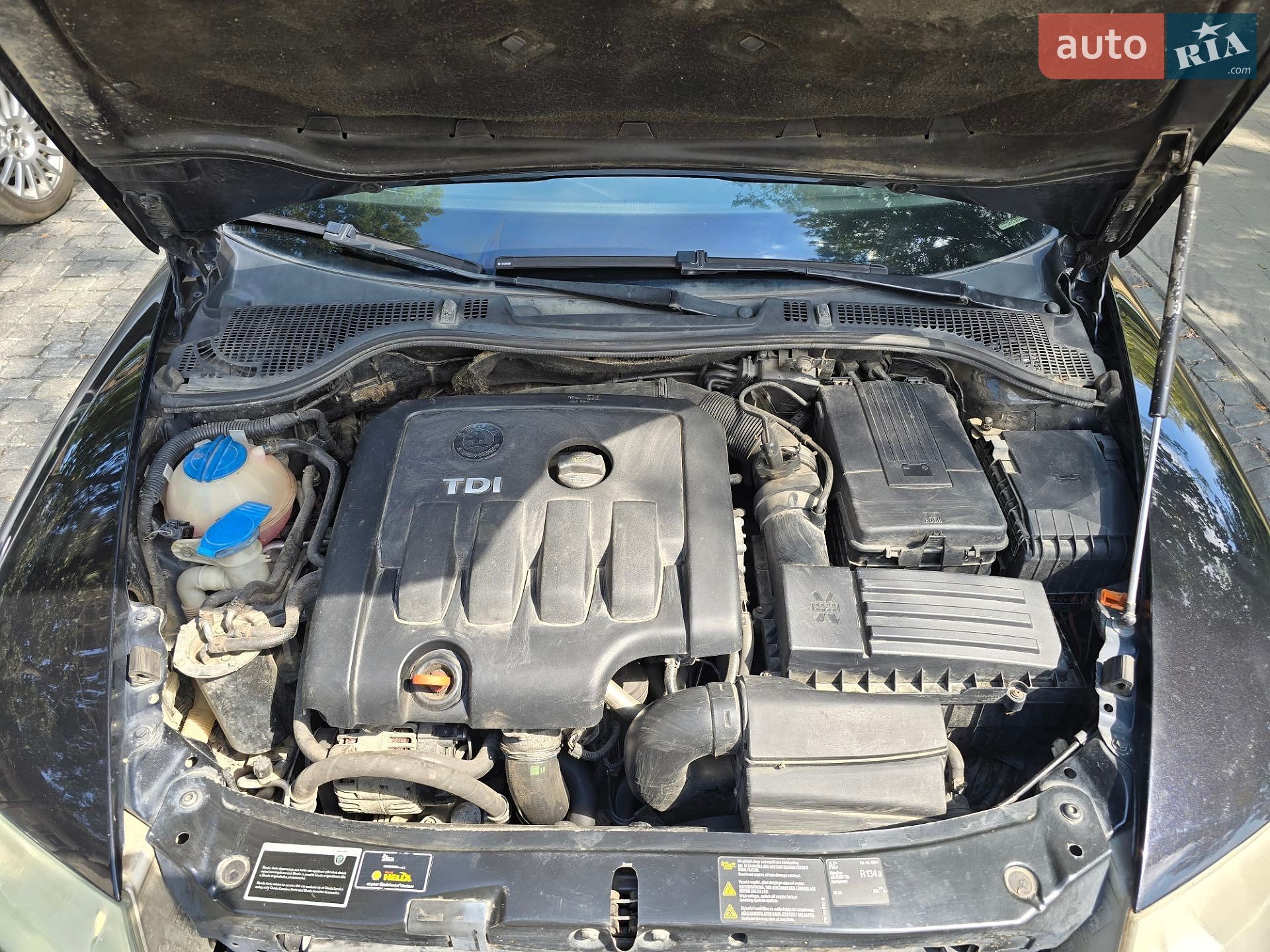 Skoda Octavia 2007 VIN TMBHE21Z772127162 фото оголошення 16 з 16