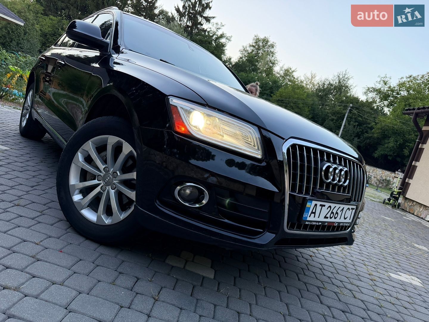 Audi Q5 2014 VIN WA1LFAFP7FA024752 фото оголошення 49 з 55