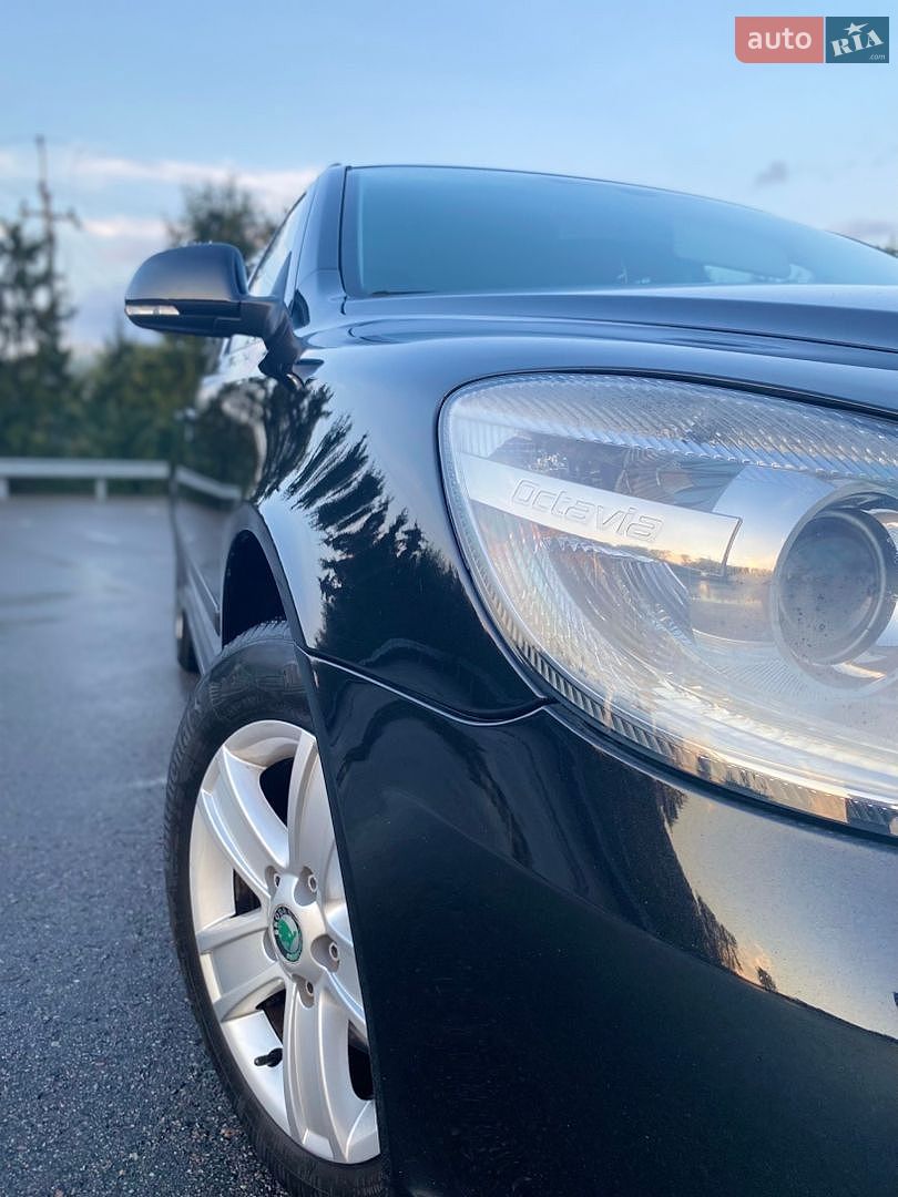 Skoda Octavia 2012 VIN TMBHJ61Z4D2062835 фото оголошення 15 з 56