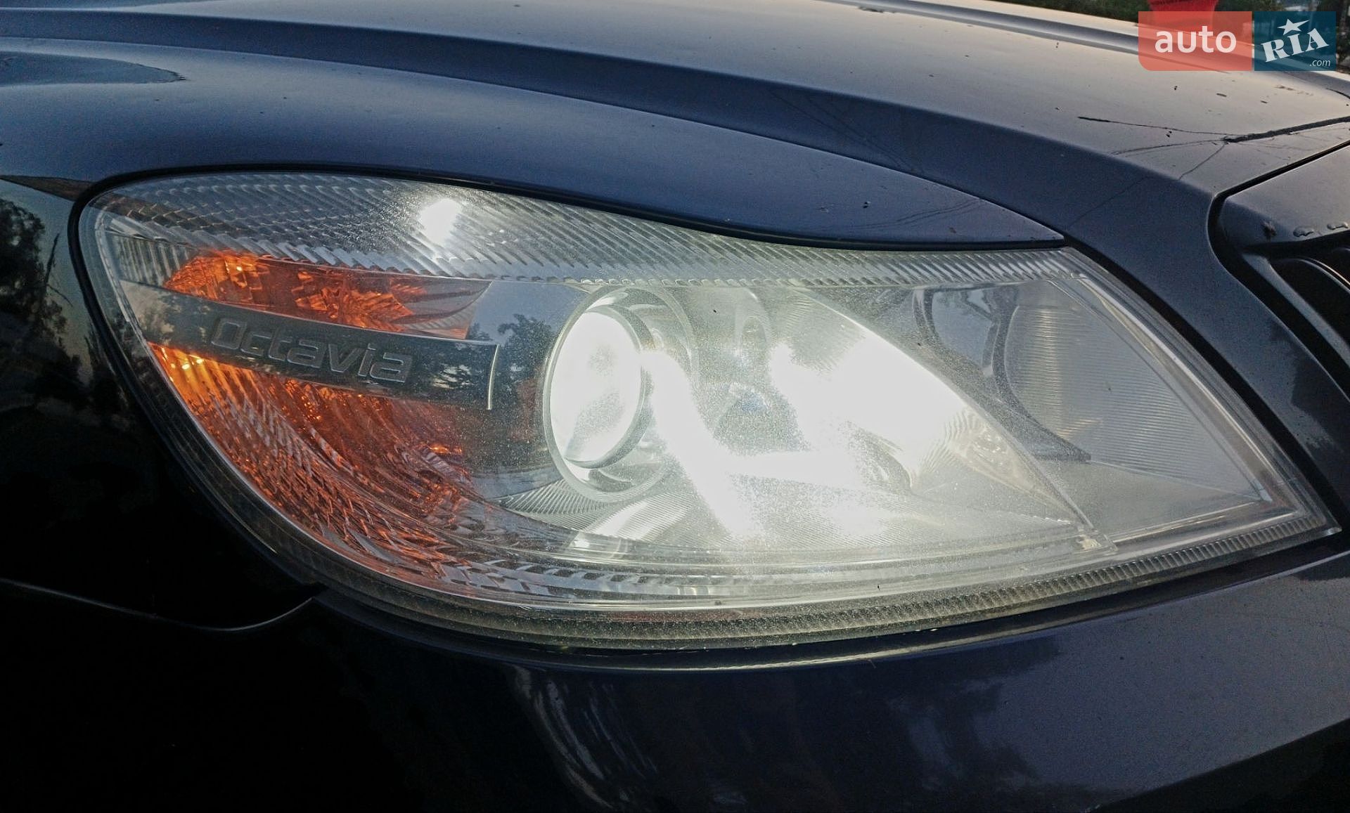 Skoda Octavia 2011 VIN Y6UCK41Z8CB153228 фото оголошення 6 з 15