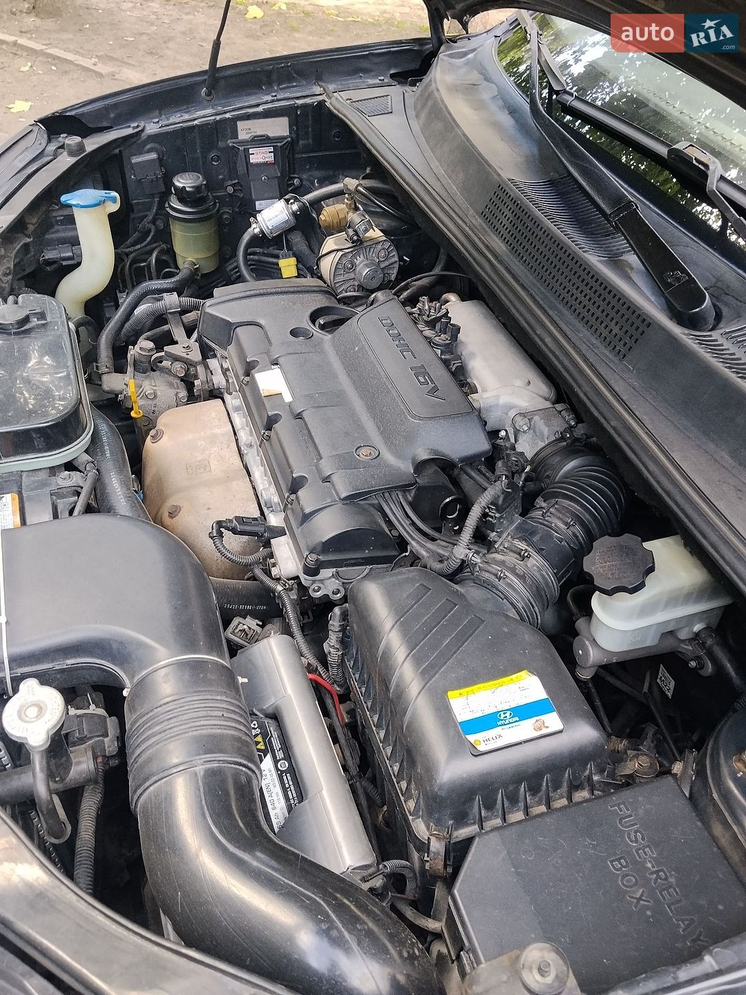 Hyundai Tucson 2008 VIN Y6LJN81BP8L203783 фото оголошення 19 з 25
