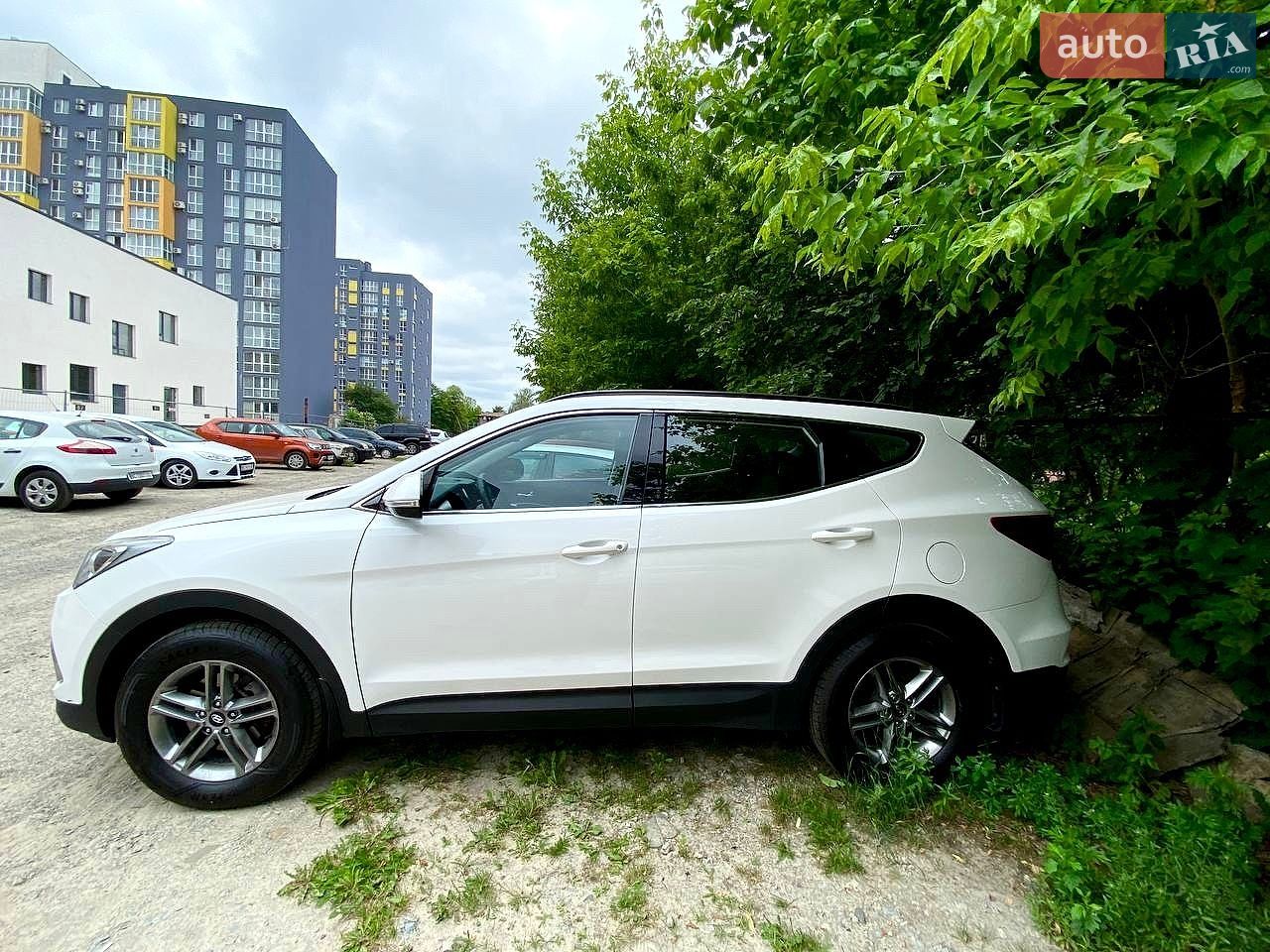Hyundai Santa FE 2016 VIN KMHST81CDGU566666 фото оголошення 5 з 24