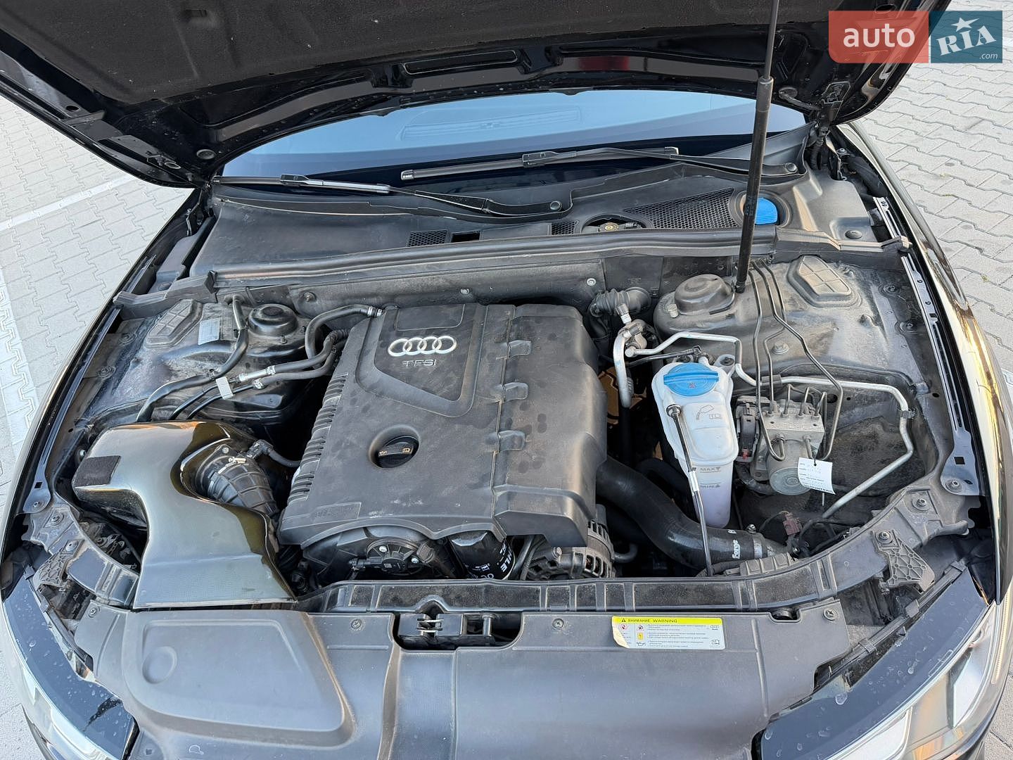 Audi A5 Sportback 2013 VIN WAUZZZ8TXDA053222 фото оголошення 48 з 48