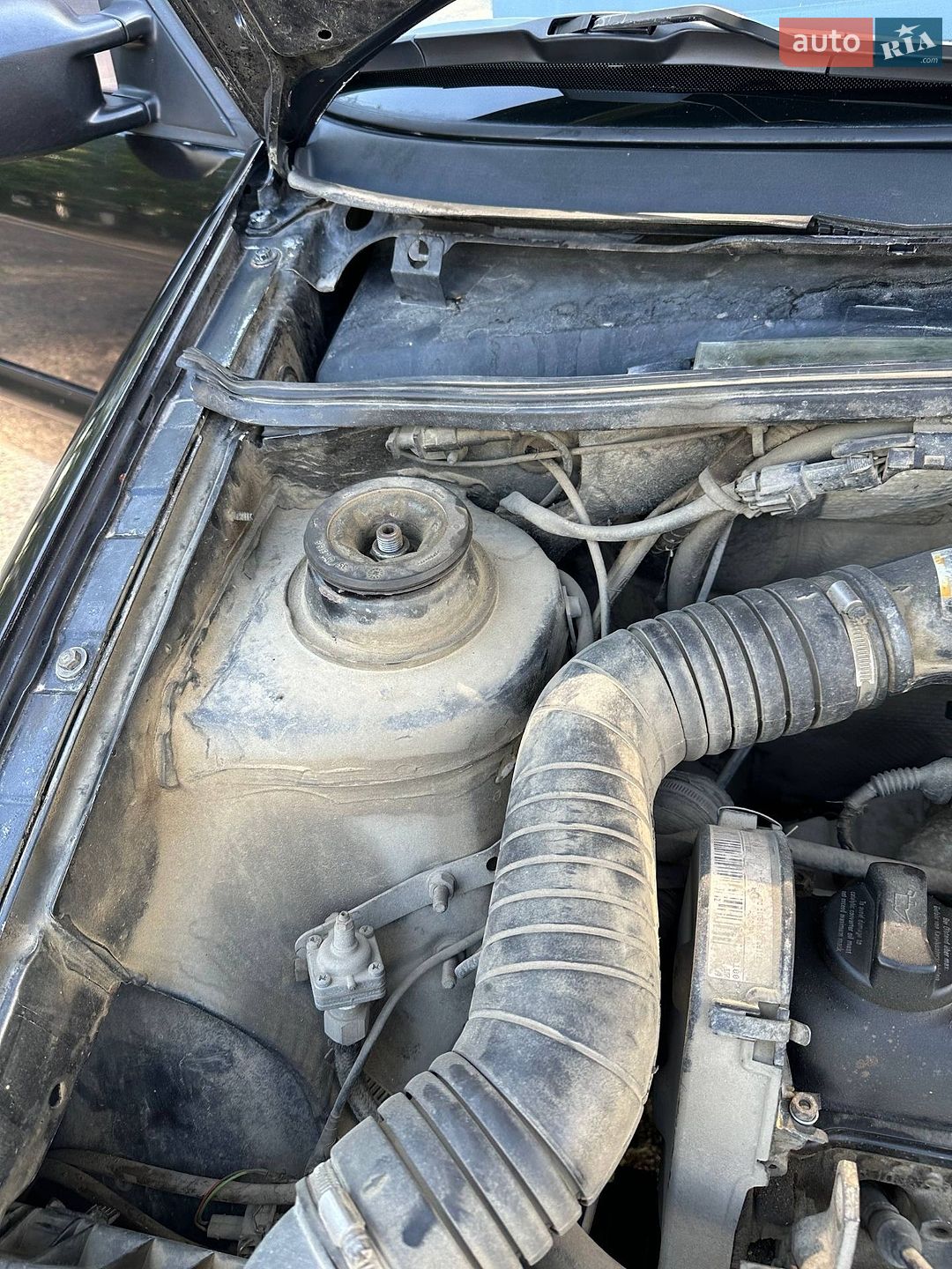 Volkswagen Passat 1994 VIN WVWZZZ3AZRE073122 фото оголошення 13 з 13