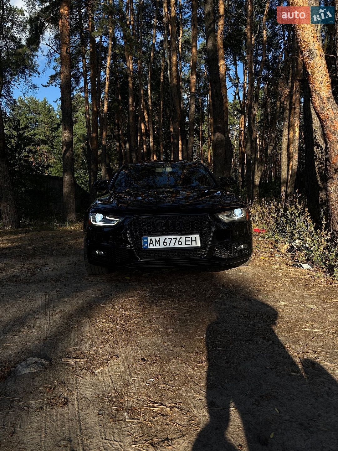 Audi A4 2015 VIN WAUAFAFL6GN012531 фото оголошення 13 з 13