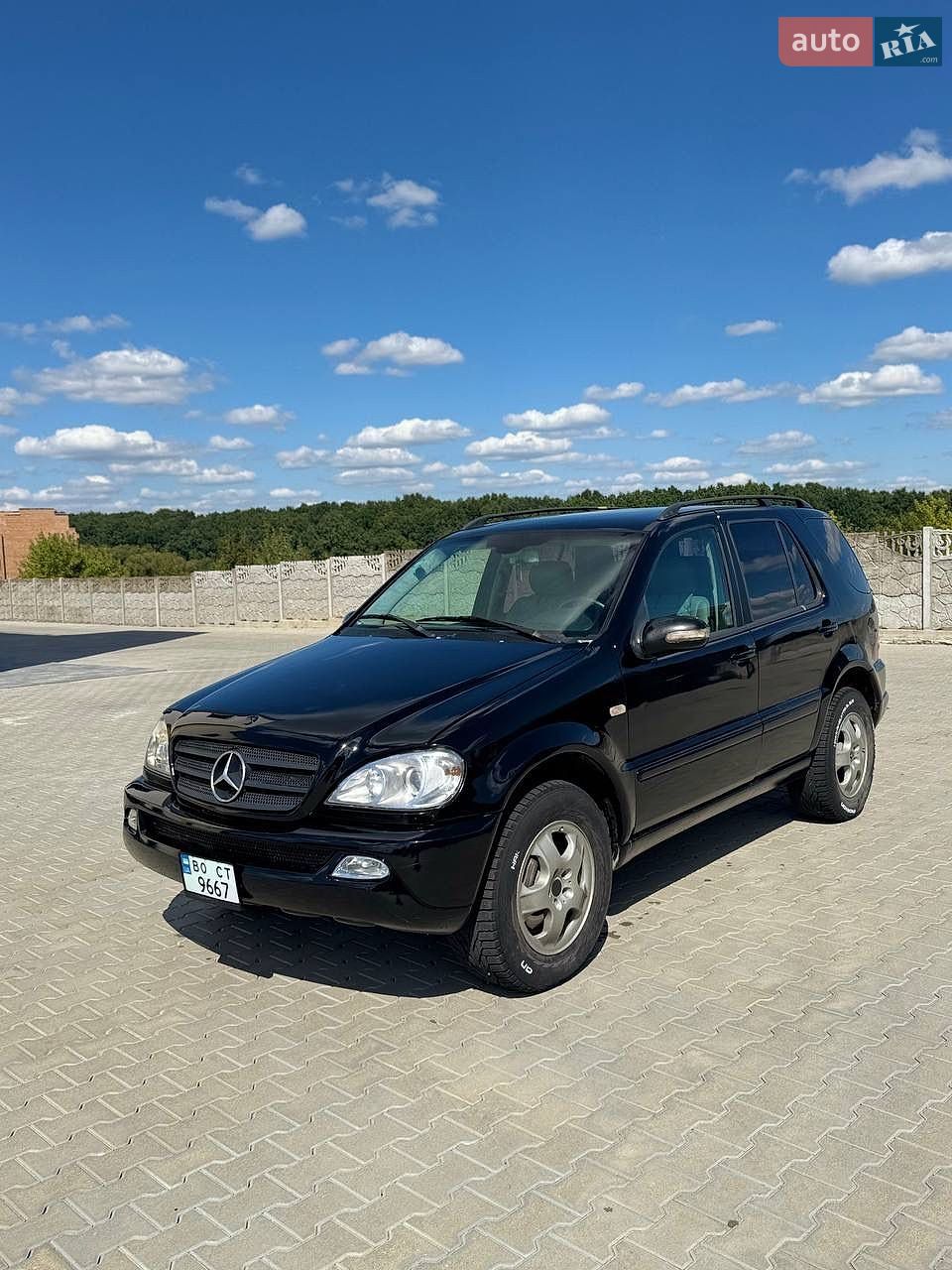 Mercedes-Benz M-Class 2003 VIN WDC1631131A435770 фото оголошення 8 з 15