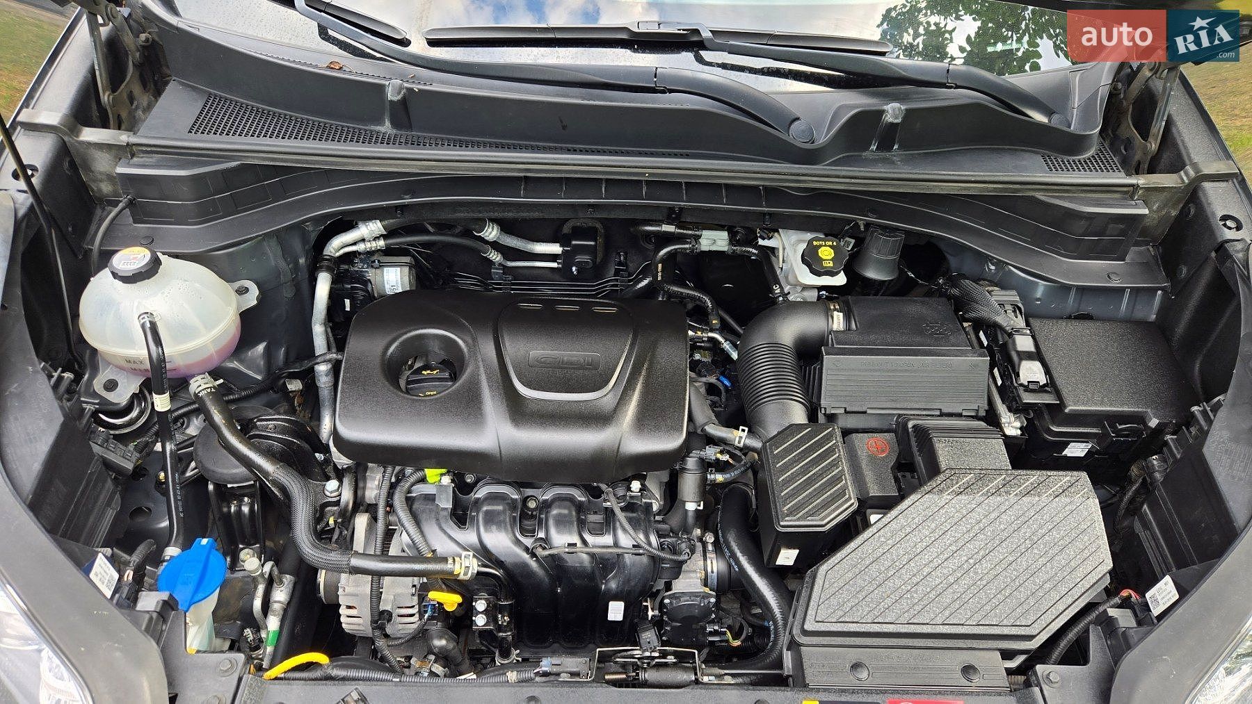 Kia Sportage 2019 VIN U5YPG814BKL682029 фото оголошення 19 з 19