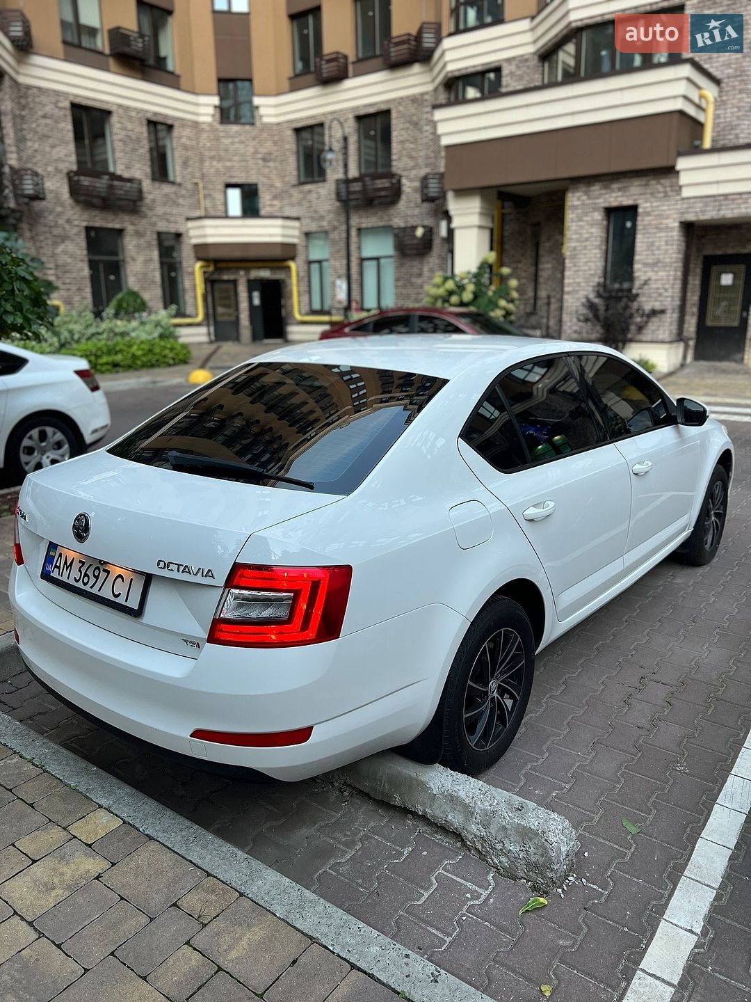 Skoda Octavia 2013 VIN TMBAC2NE8EB006202 фото оголошення 5 з 17