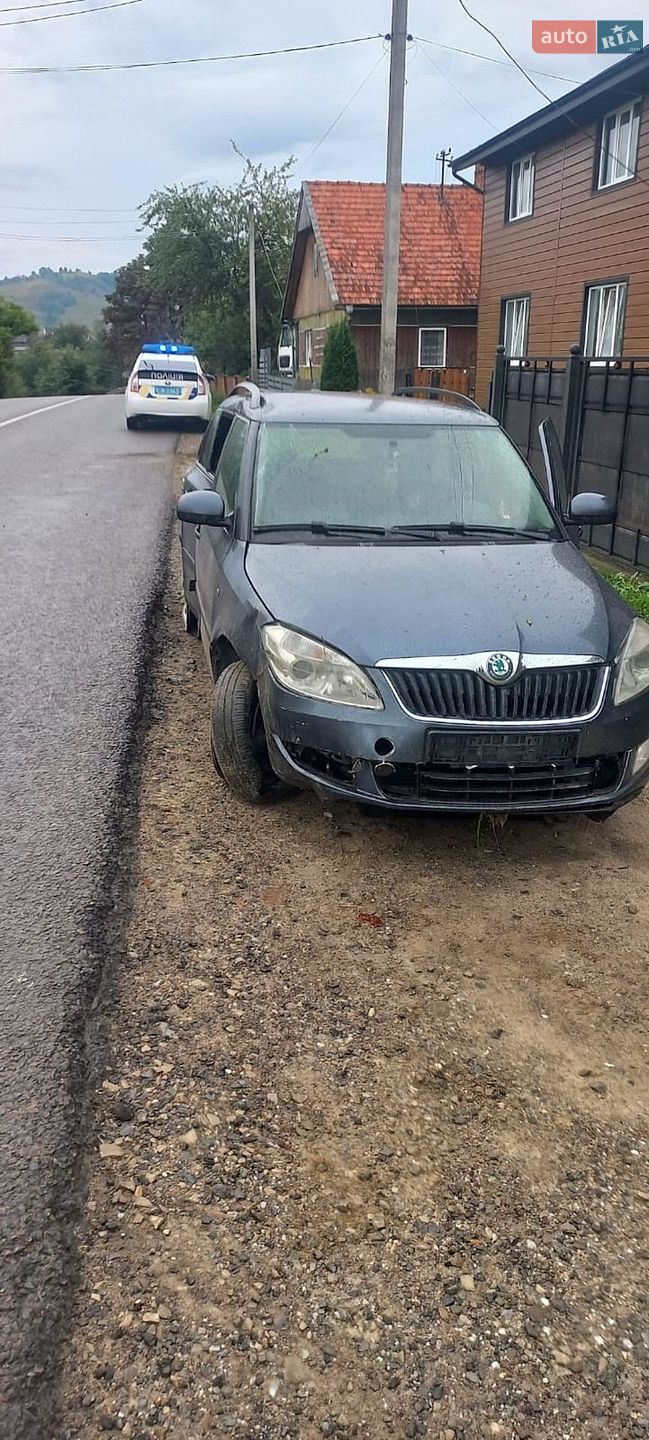 Skoda Fabia 2012 VIN TMBJK25J9C3173708 фото оголошення 4 з 24