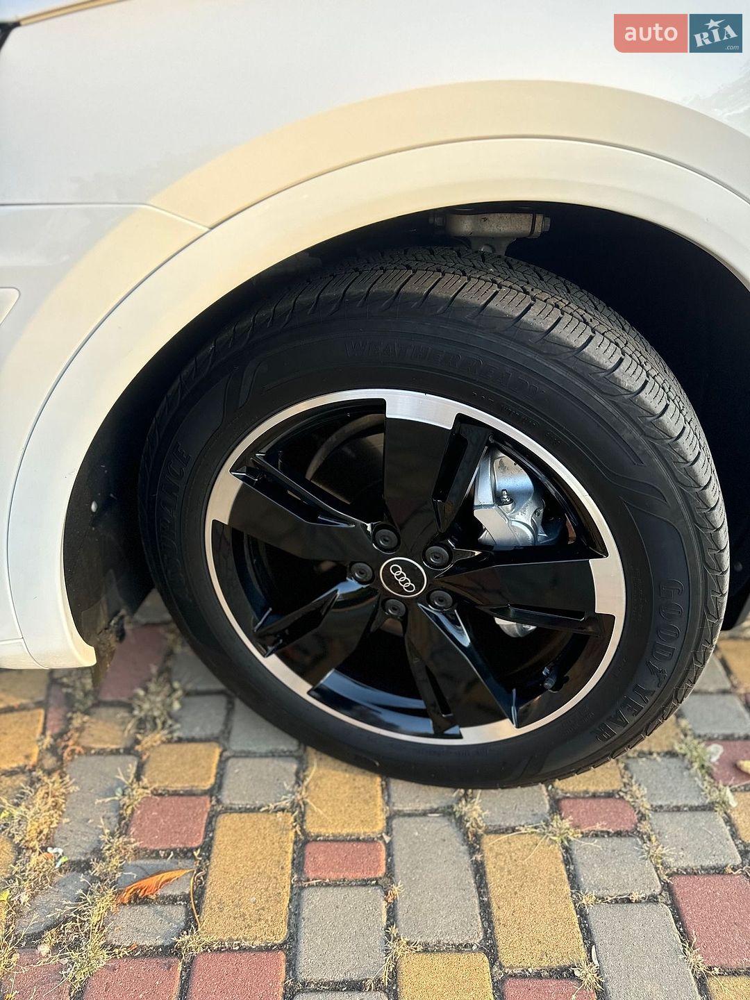 Audi Q5 2019 VIN WA1BNAFY7K2079343 фото оголошення 41 з 41