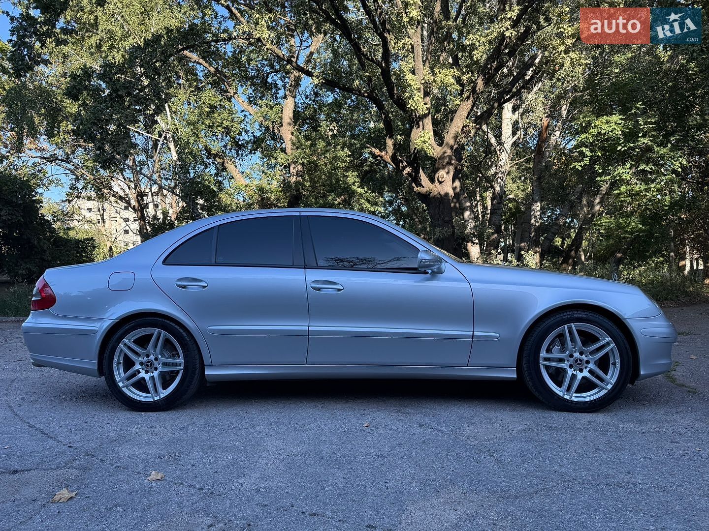 Mercedes-Benz E-Class 2006 VIN WDB2110411B042041 фото оголошення 19 з 75