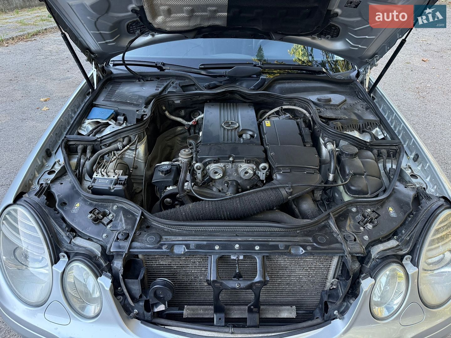Mercedes-Benz E-Class 2006 VIN WDB2110411B042041 фото оголошення 37 з 75
