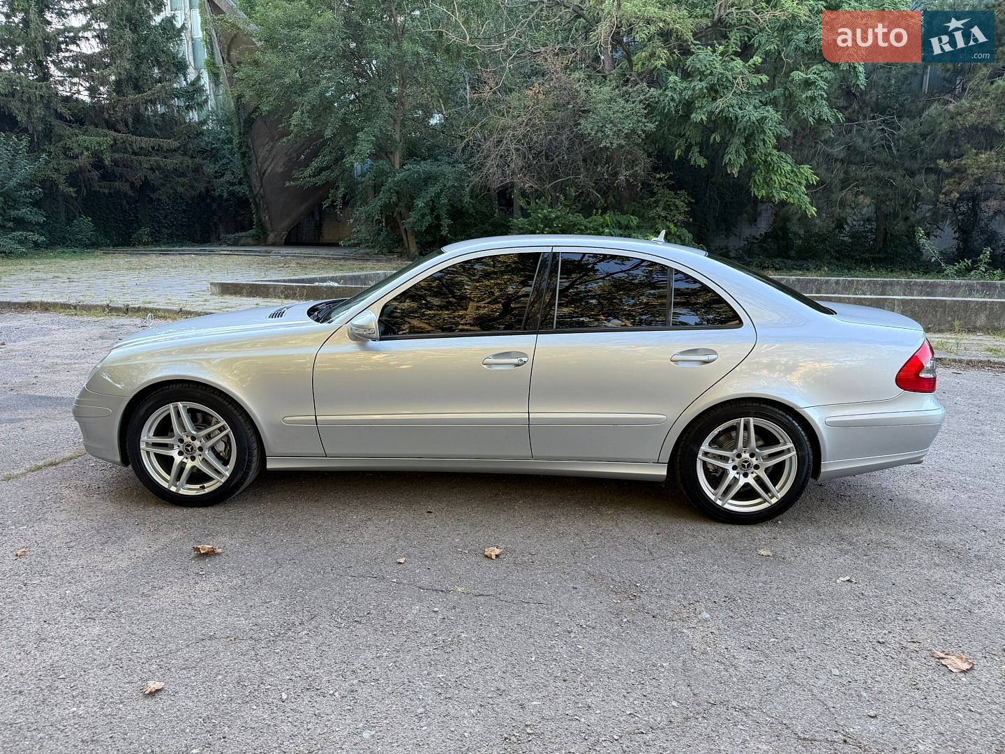 Mercedes-Benz E-Class 2006 VIN WDB2110411B042041 фото оголошення 35 з 75