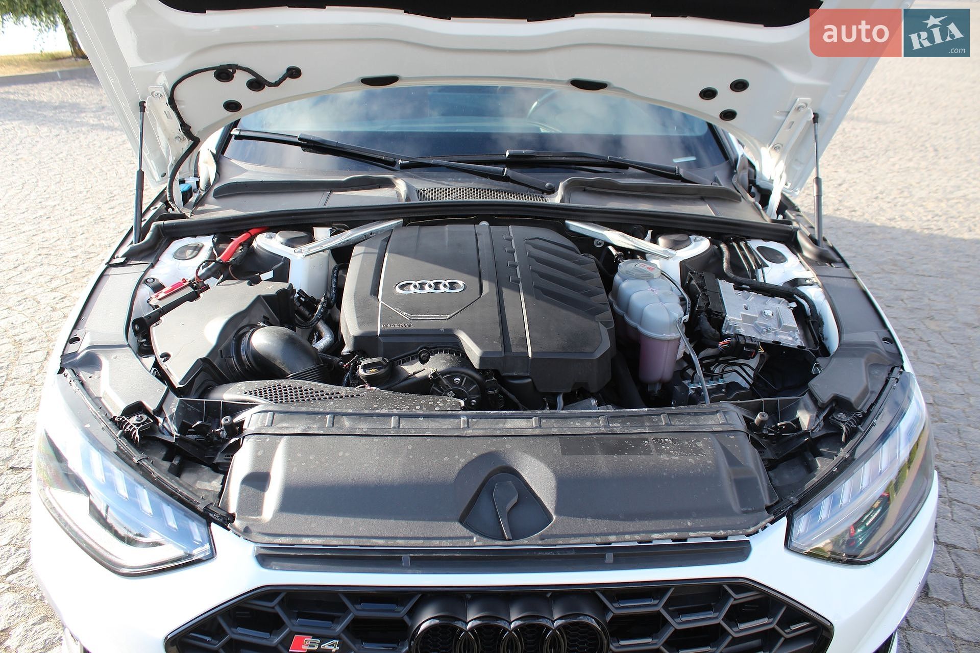 Audi A4 2021 VIN WAUEAAF49MN006212 фото оголошення 43 з 44