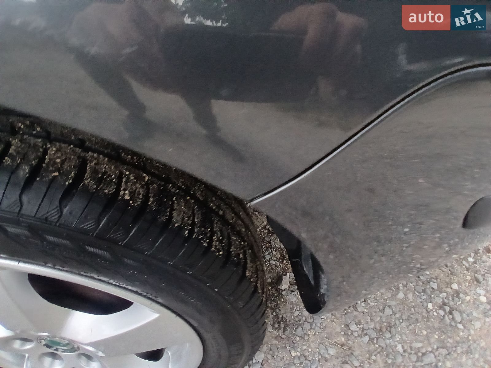 Skoda Fabia 2007 VIN TMBHX26Y574147781 фото оголошення 61 з 98