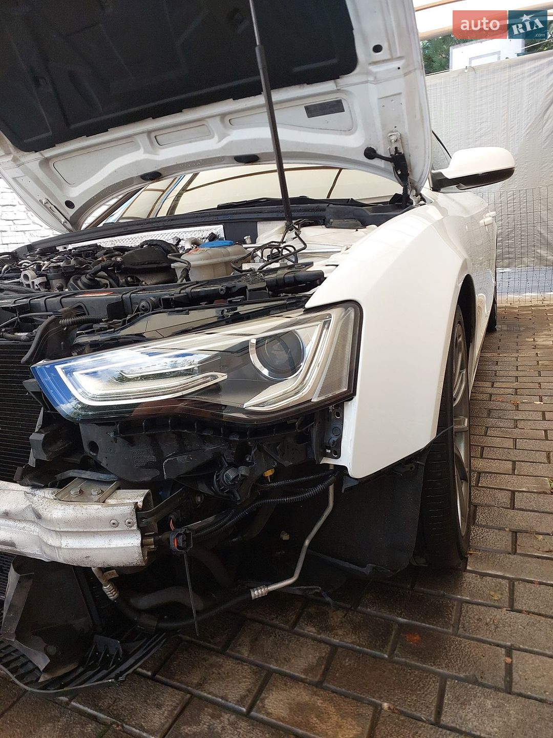 Audi A5 2015 VIN WAUZZZ8T9FA051500 фото оголошення 118 з 130