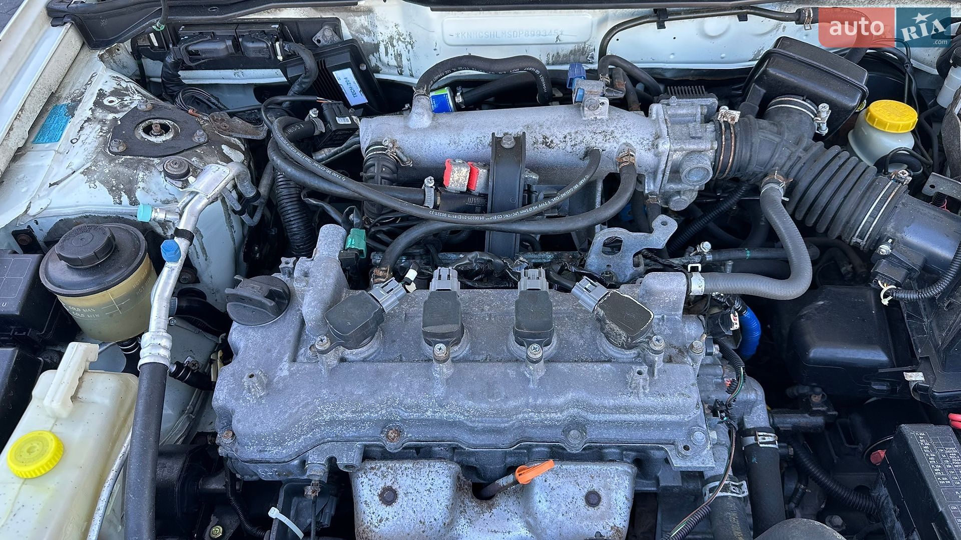 Nissan Almera 2012 VIN KNMCSHLMSDP899345 фото оголошення 14 з 14