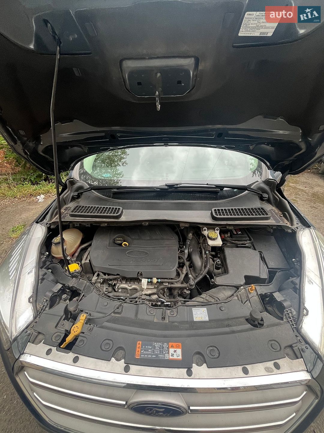 Ford Escape 2018 VIN 1FMCU0GD1KUA06357 фото оголошення 6 з 16