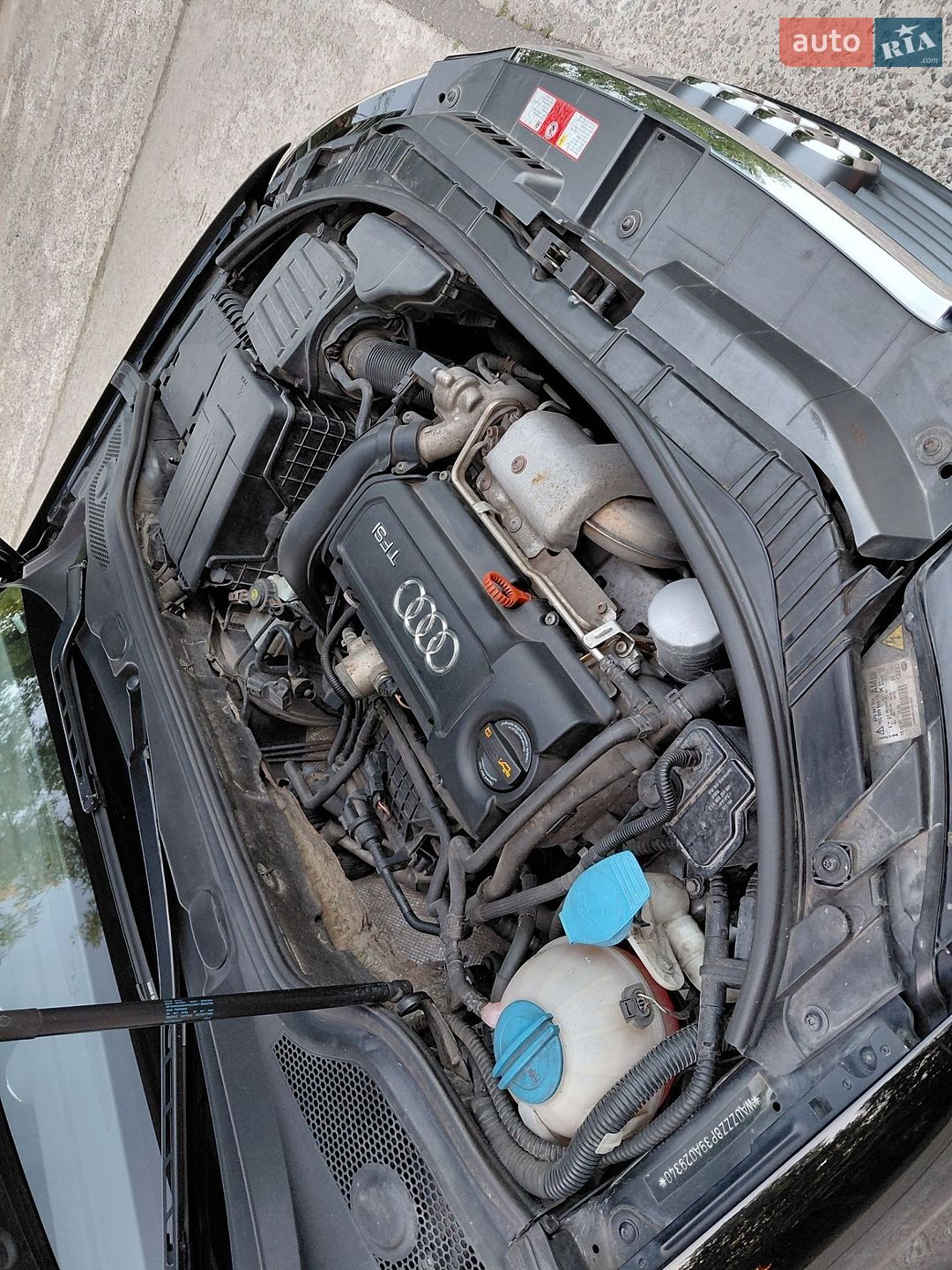Audi A3 Sportback 2008 VIN WAUZZZ8P39A029340 фото оголошення 33 з 33