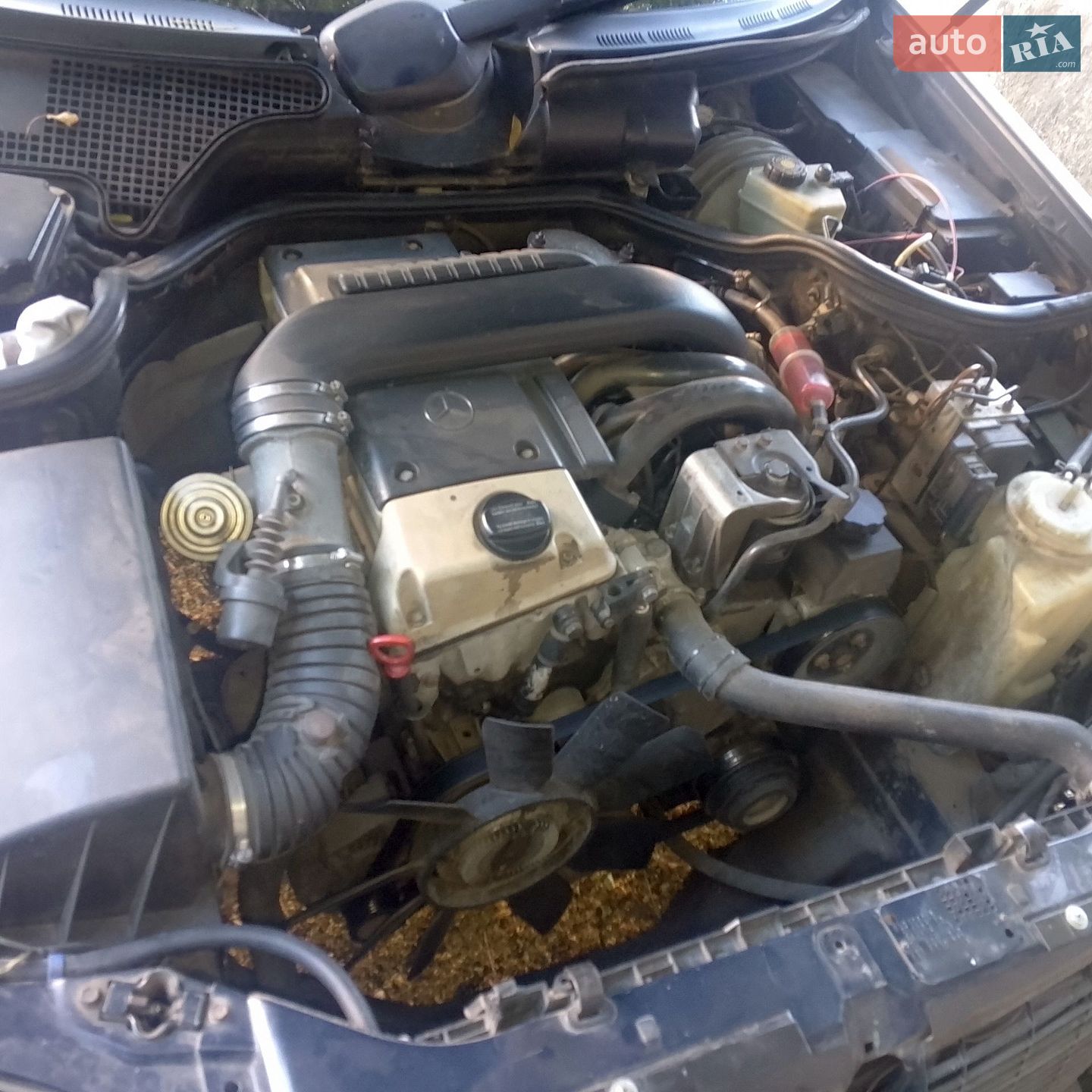 Mercedes-Benz E-Class 1996 VIN WDB2100531A127692 фото оголошення 2 з 9