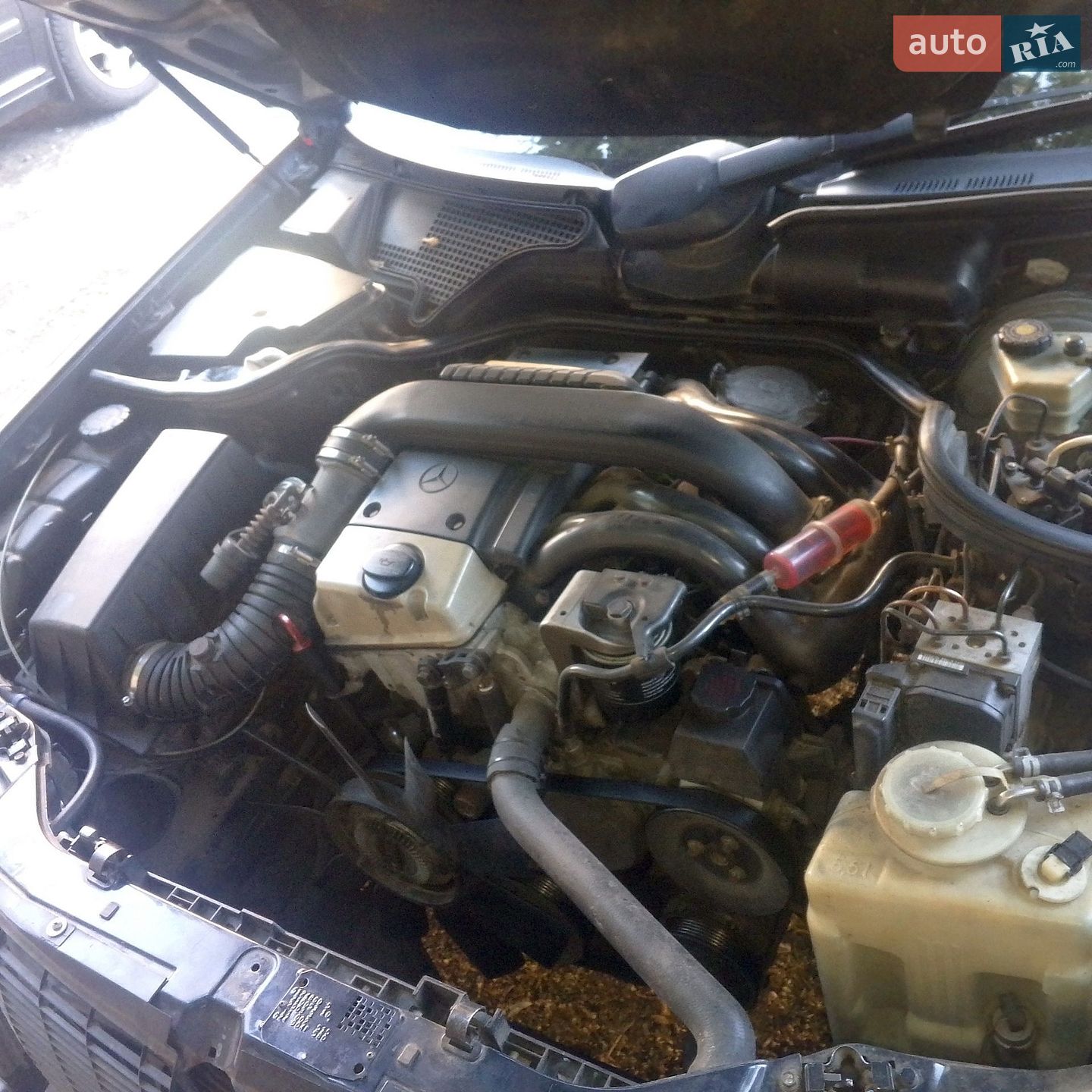 Mercedes-Benz E-Class 1996 VIN WDB2100531A127692 фото оголошення 3 з 9