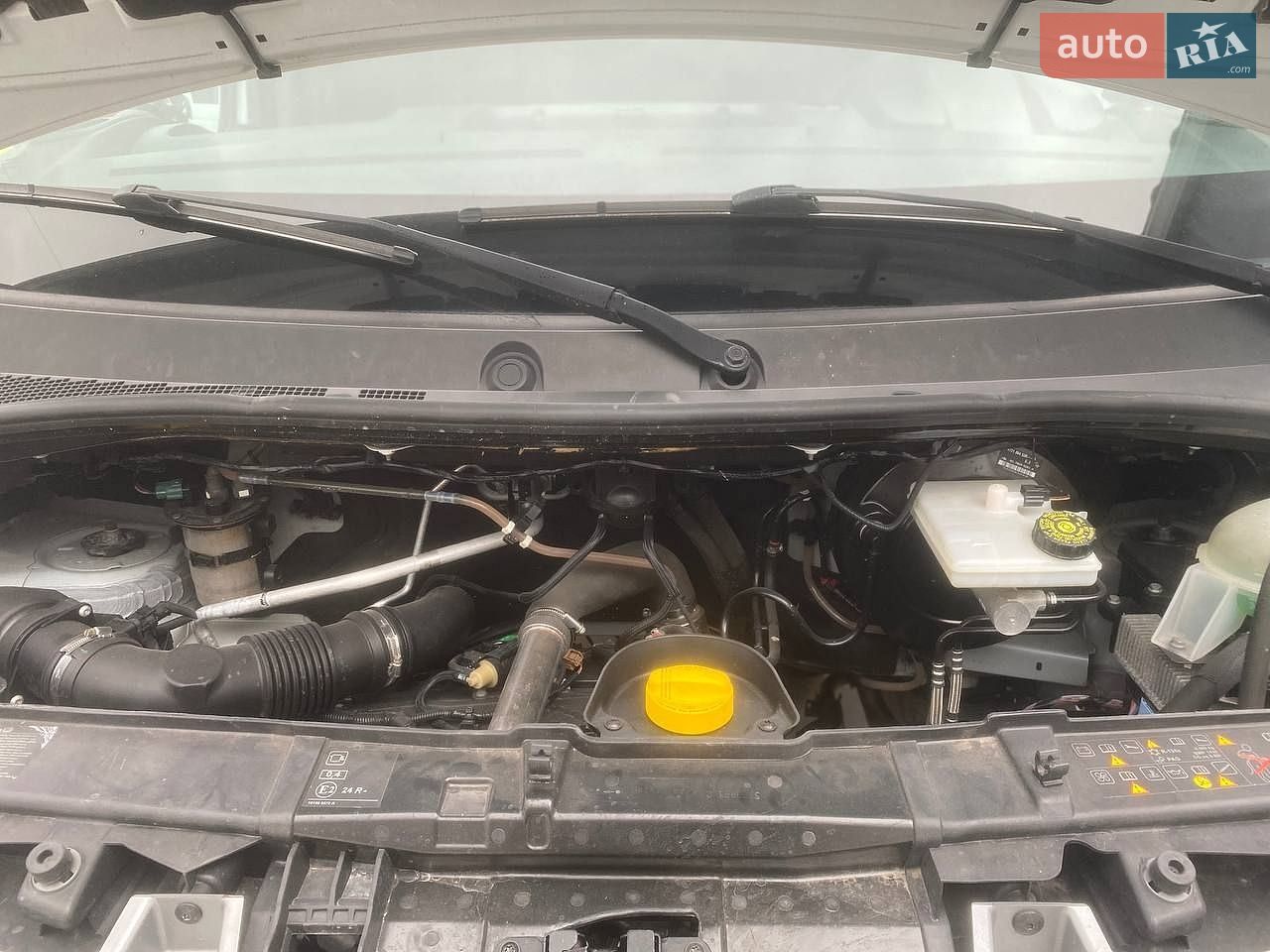 Renault Master 2019 VIN VF6MF000163656160 фото оголошення 18 з 25