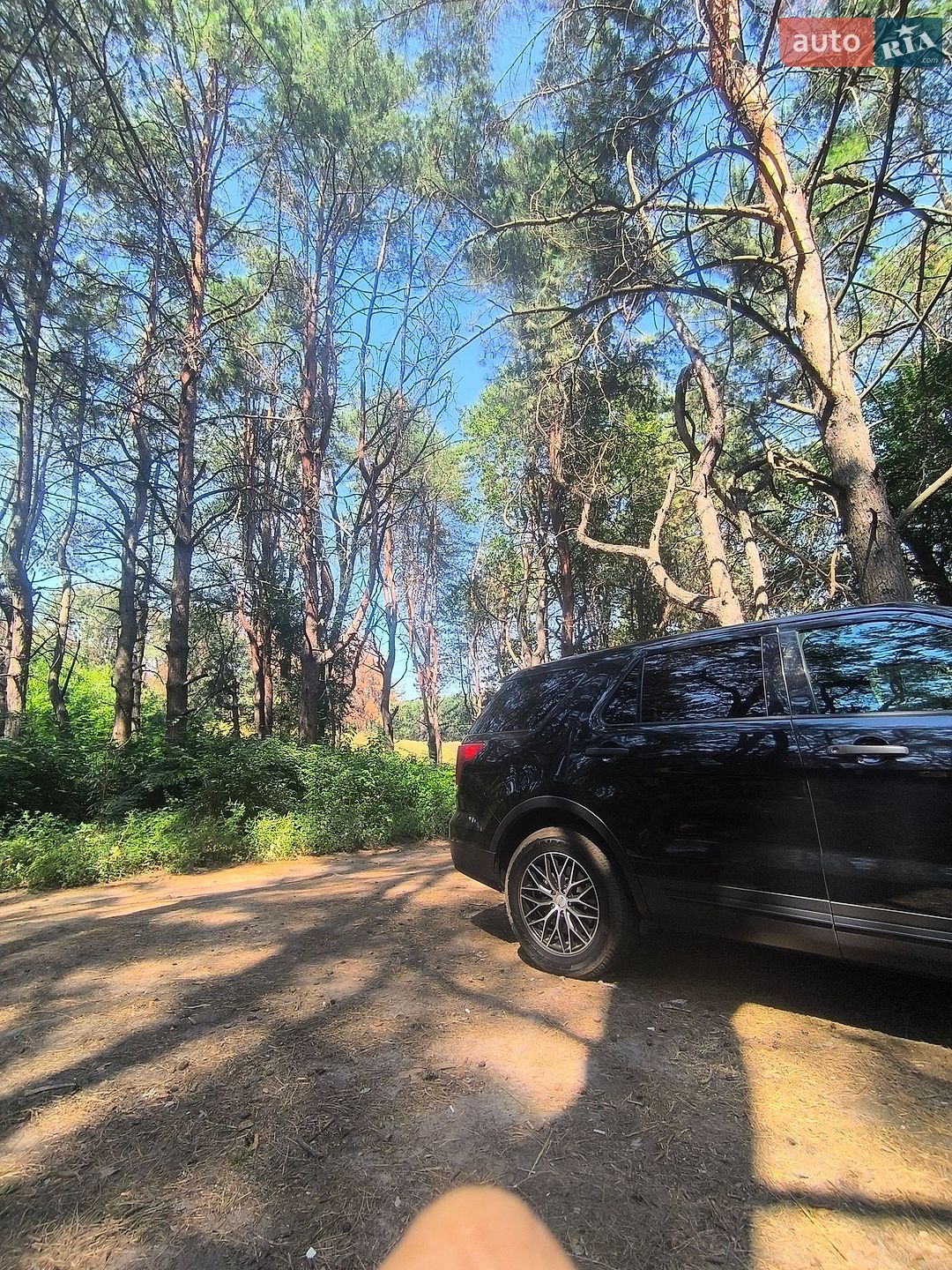 Ford Explorer 2017 VIN 1FM5K8AR9HGC56969 фото оголошення 7 з 21