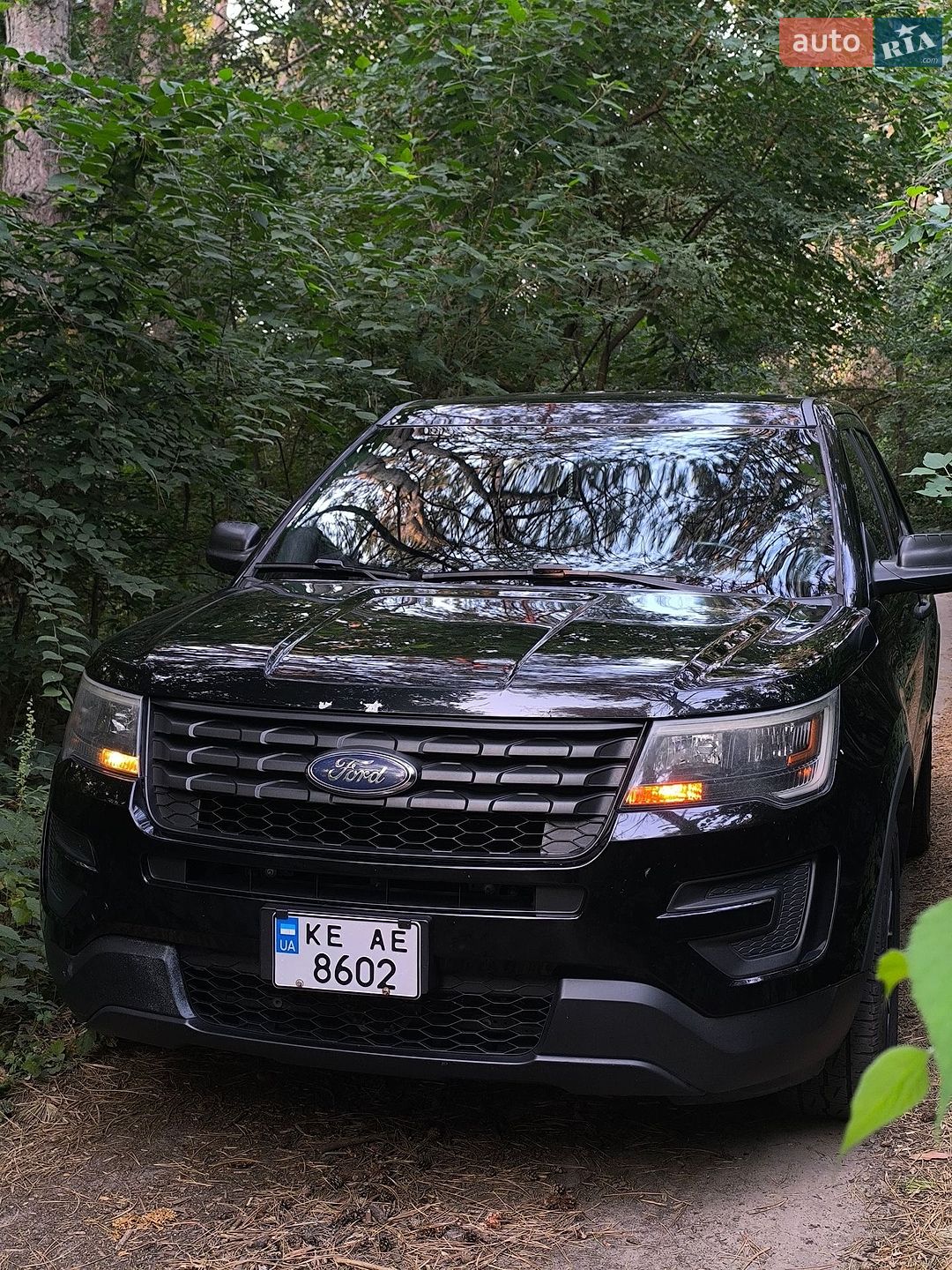 Ford Explorer 2017 VIN 1FM5K8AR9HGC56969 фото оголошення 6 з 21