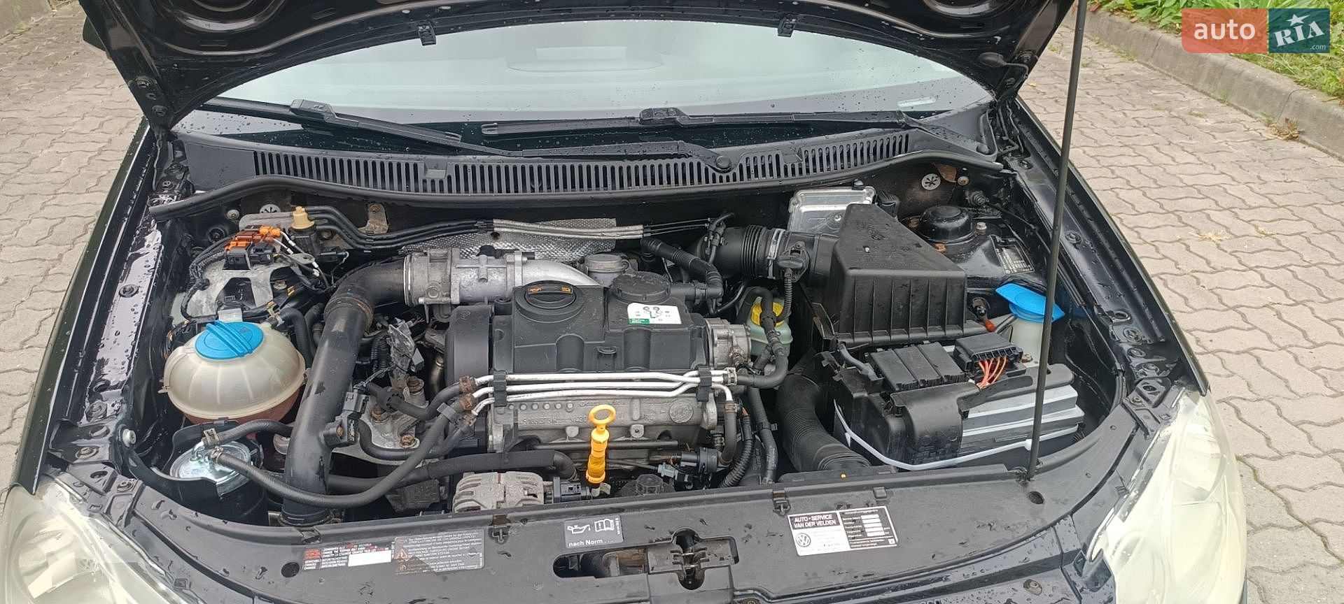 Volkswagen Polo 2008 VIN WVWZZZ9NZ9B001983 фото оголошення 9 з 14