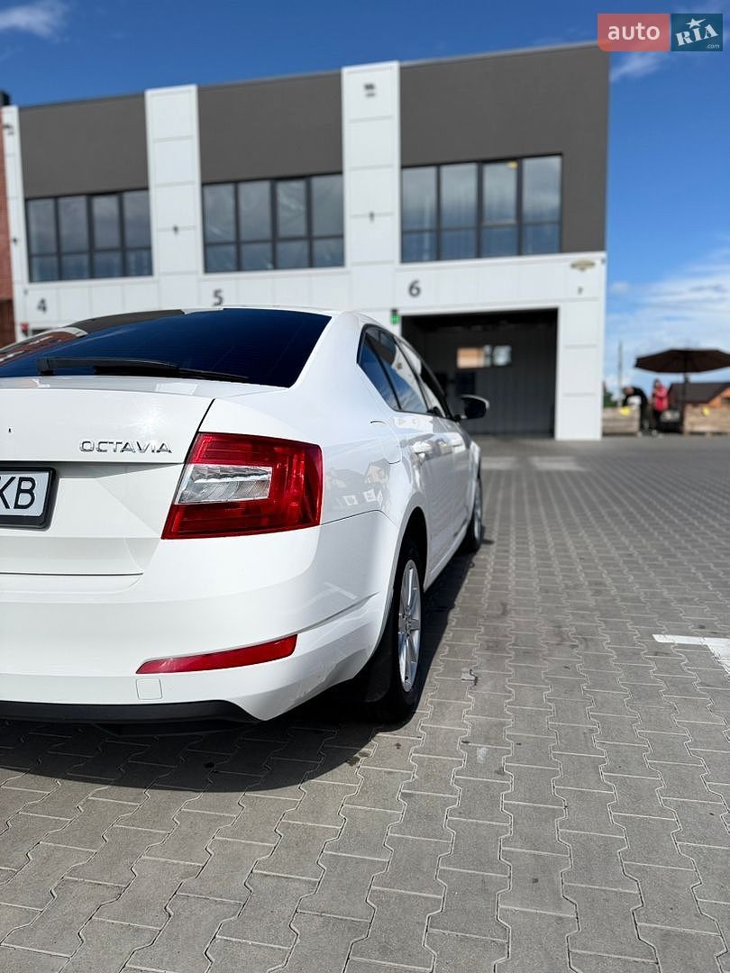 Skoda Octavia 2013 VIN TMBAC2NE2EB007667 фото оголошення 5 з 24