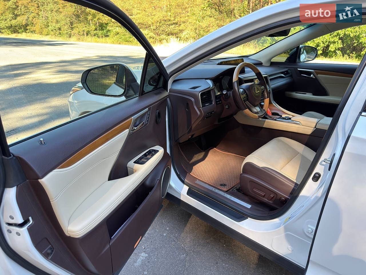 Lexus RX 2019 VIN 2T2BGMCA0KC038610 фото оголошення 17 з 31