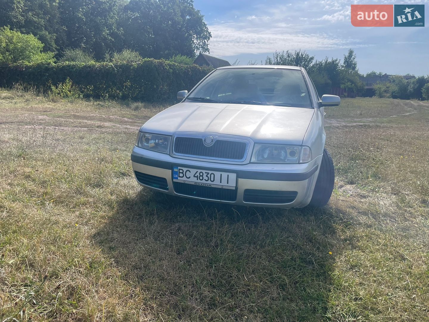Skoda Octavia 2009 VIN TMBDX41U498851531 фото оголошення 2 з 16