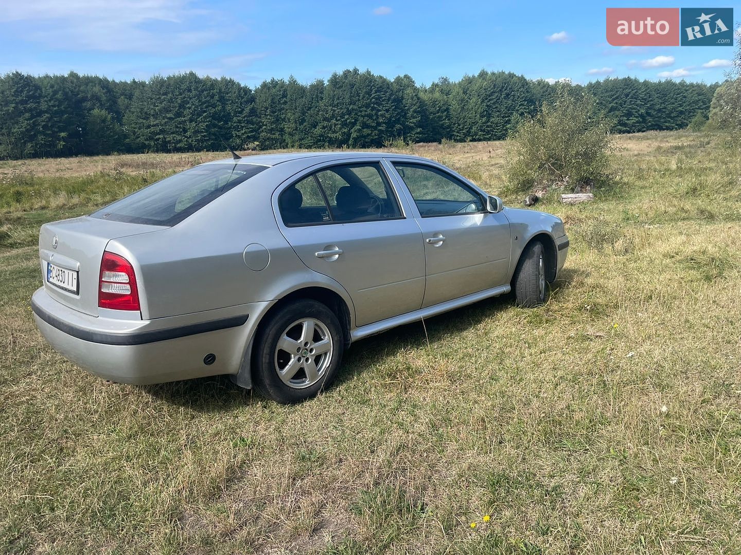 Skoda Octavia 2009 VIN TMBDX41U498851531 фото оголошення 6 з 16