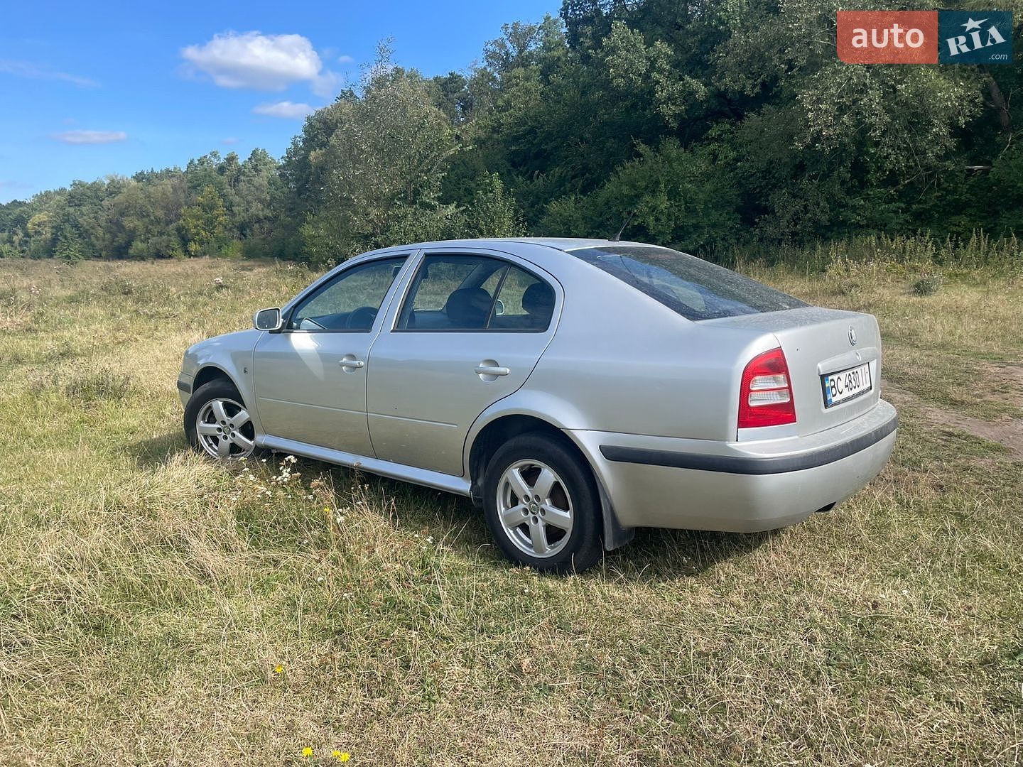 Skoda Octavia 2009 VIN TMBDX41U498851531 фото оголошення 5 з 16