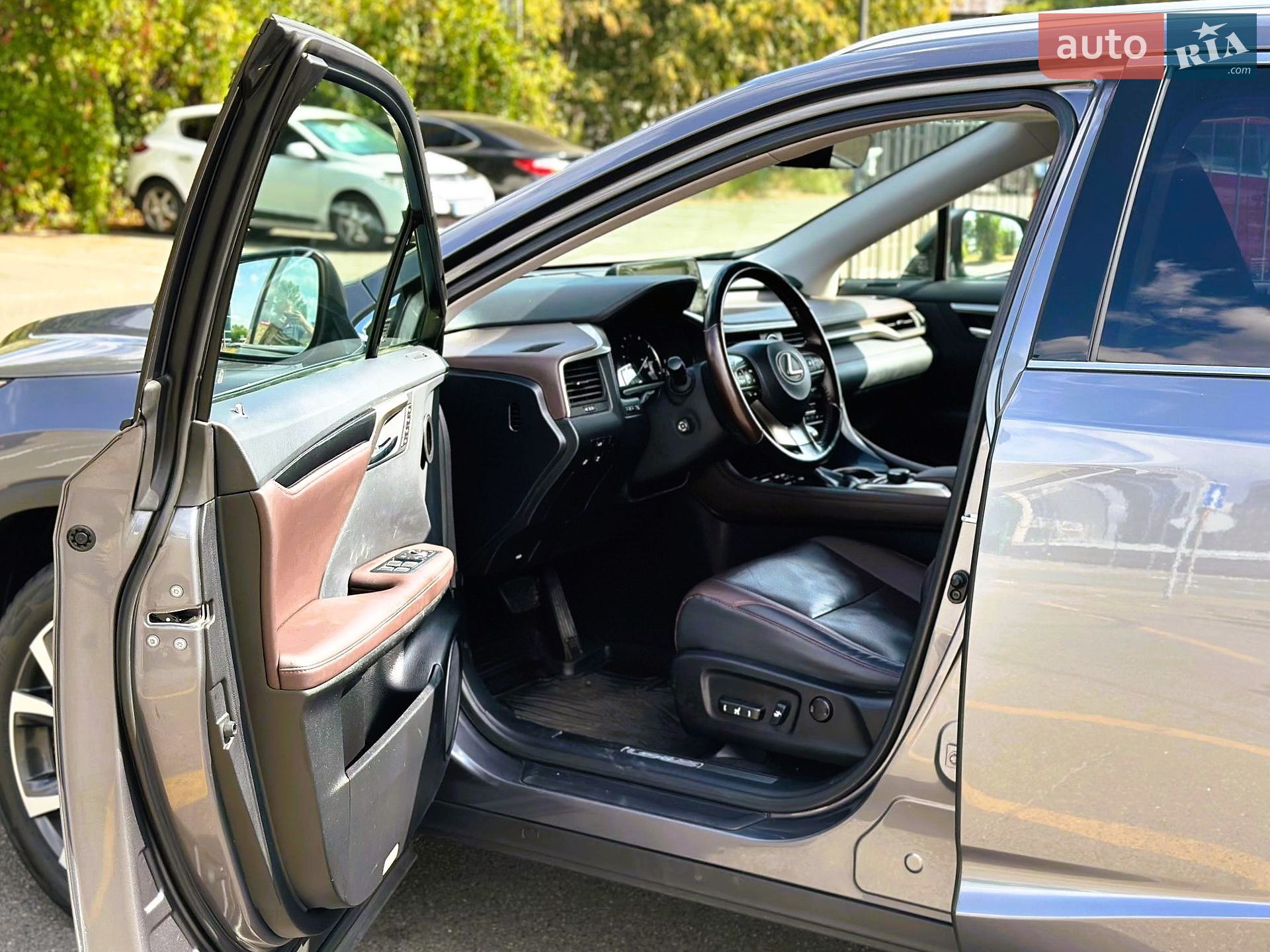 Lexus RX 2017 VIN JTJBAMCA302026479 фото оголошення 17 з 46