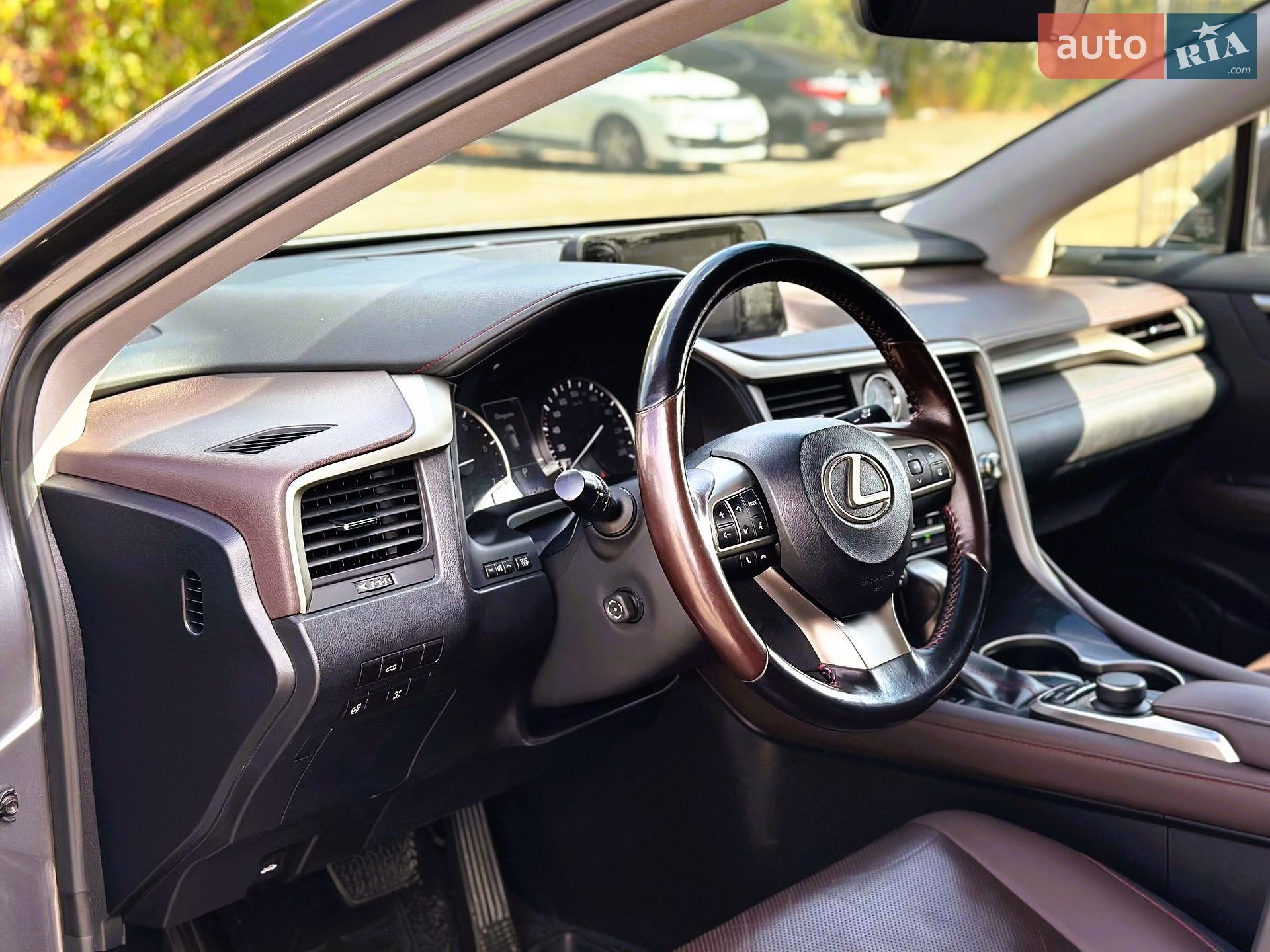 Lexus RX 2017 VIN JTJBAMCA302026479 фото оголошення 20 з 46