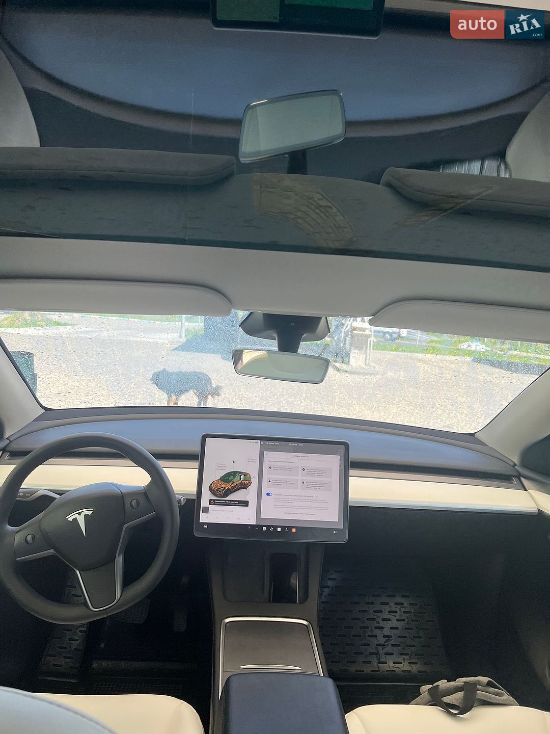 Tesla Model Y 2024 VIN 7SAYGDEE1RF080100 фото оголошення 18 з 29
