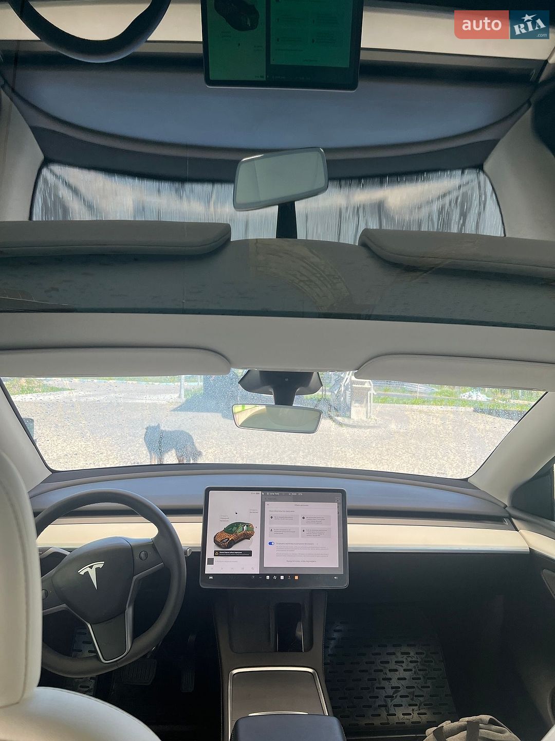 Tesla Model Y 2024 VIN 7SAYGDEE1RF080100 фото оголошення 19 з 29