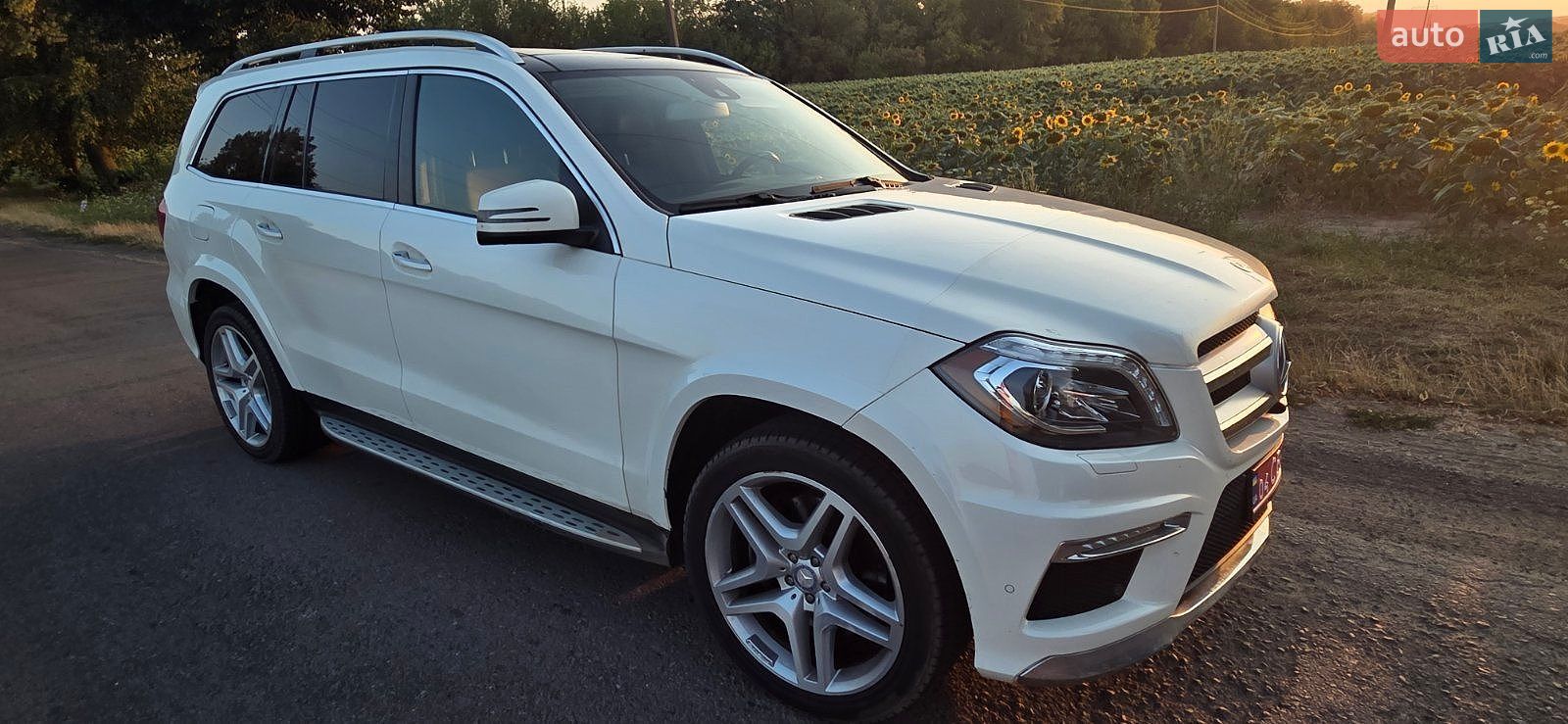Mercedes-Benz GL-Class 2013 VIN 4JGDF2EE2EA276550 фото оголошення 5 з 25