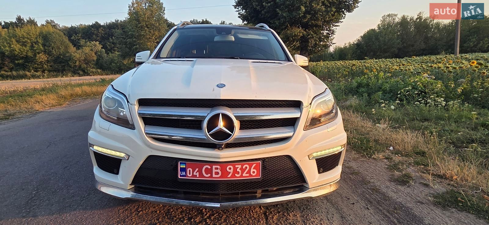 Mercedes-Benz GL-Class 2013 VIN 4JGDF2EE2EA276550 фото оголошення 6 з 25
