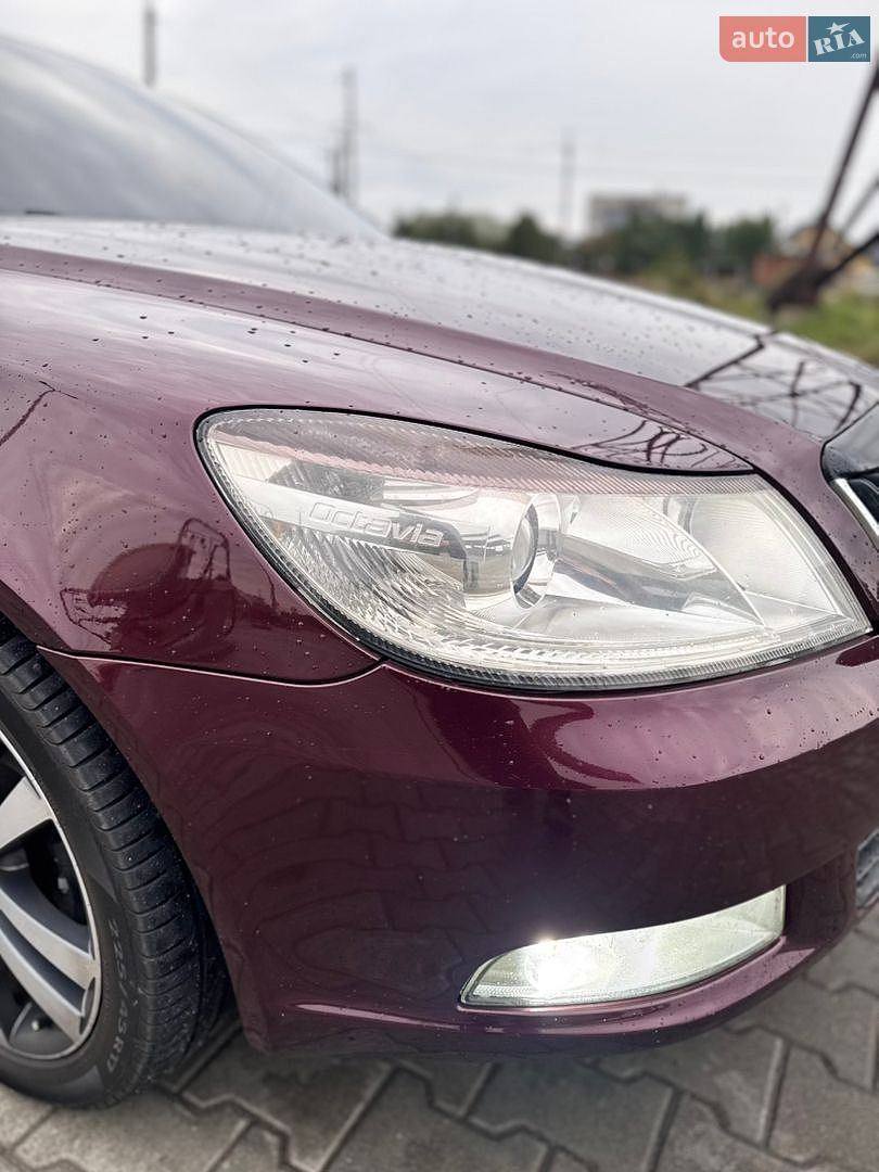 Skoda Octavia 2010 VIN TMBHT61Z6A2078511 фото оголошення 19 з 34