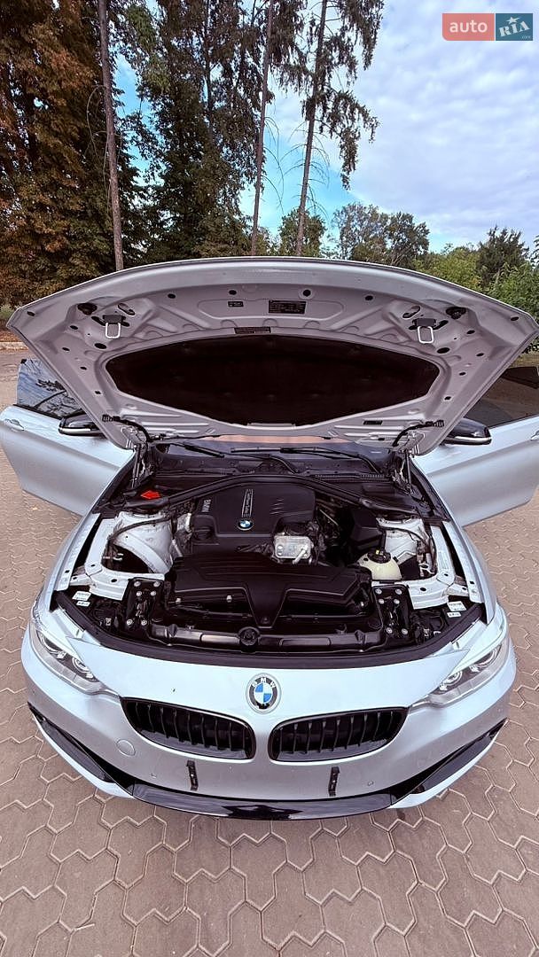 BMW 4 Series 2015 VIN WBA3N7C5XGK227836 фото оголошення 23 з 37